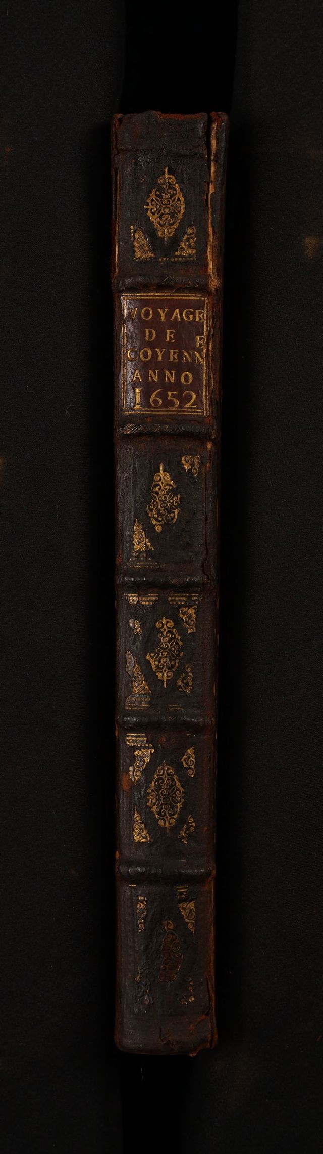digitised image 2