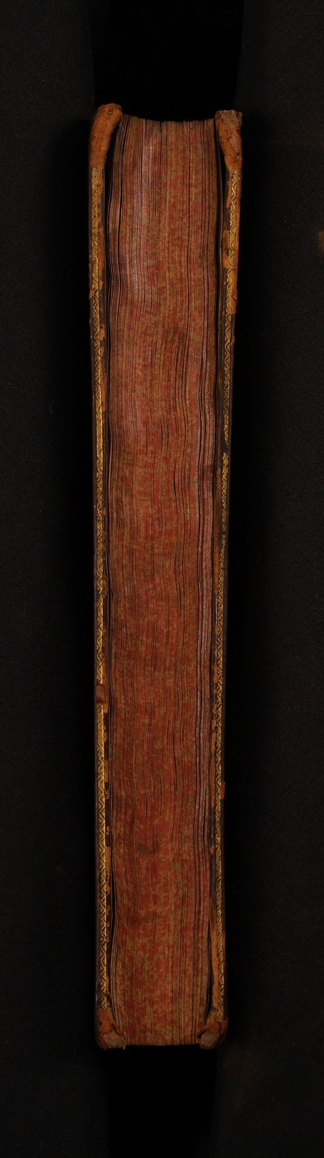 digitised image 3