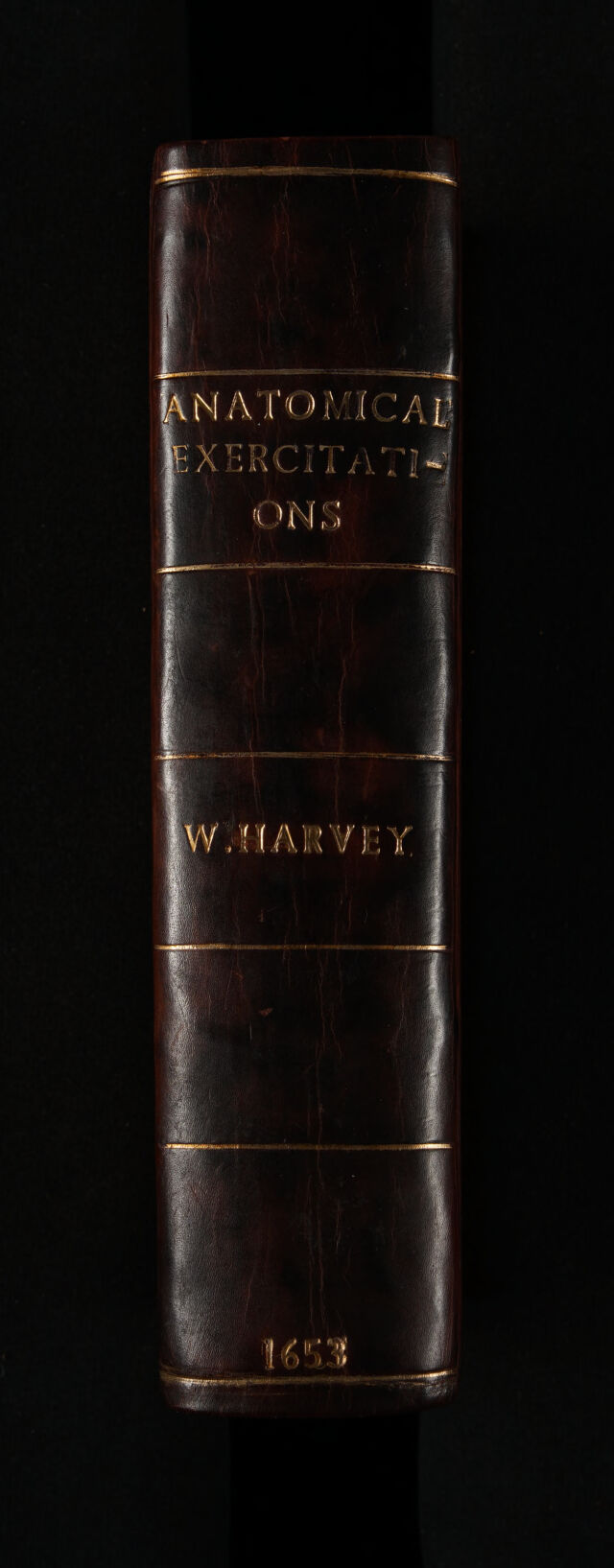 digitised image 2