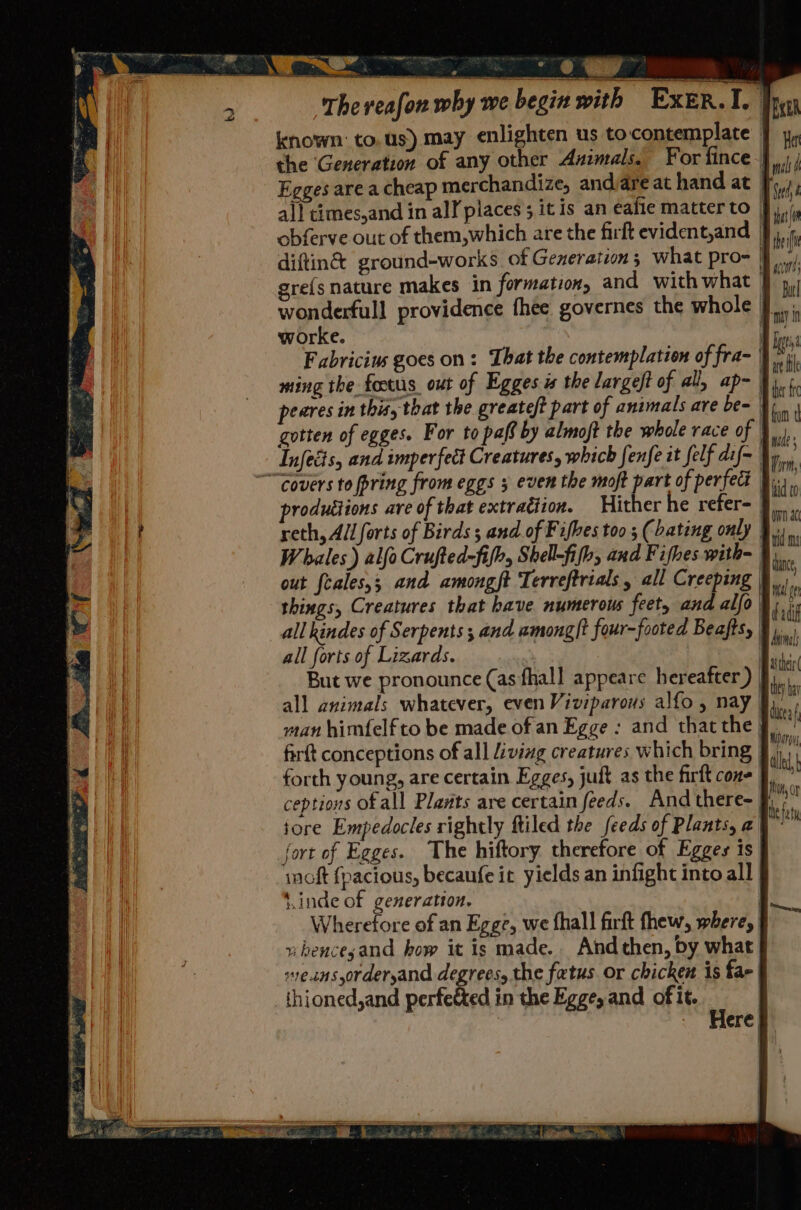 The veafon why we begin with ExeER.I. Jay known: to, Us) may enlighten us to:contemplate — the ‘Generation of any other Animals. For fince || Egges are a cheap merchandize, andiare at hand at | all timesjand in all places 5 it is an eafie matter to | obferve out of them,which are the firft evident,and | diftin&amp; ground-works of Generation; what pro- jj gre{s nature makes in formation, and with what wonderfull providence fhee governes the whole | worke. ' Fabricim goes on: That the contemplation of fra- } ming the foctus out of Egges is the largeft of all, ap- Fy. peares in this, that the greateft part of animals are be= | gotten of egges. For to paff by almoft the whole race of | Infeits, and imperfect Creatures, which fenfe it felf dif | “covers to pring from eggs 5 even the moft part of perfect §i., roduttions are of that extradiion. Hither he refer- 9... reth, All farts of Birds; and of Fifbes too; (Dating only | oT  Whales) alfo Crufted-fifh, Shell-fifh, and Fifhes with- ‘ out feales,; and amongft Terreftrials , all Creeping | th | things, Creatures that have numerous feet, and allo}, i all kindes of Serpents ; and amongft four-footed Beafts, § all forts of Lizards. a7. But we pronounce (as fhall appeare hereafter) J, all animals whatever, even Viviparows alfo , nay i, \ man himfelf to be made of an Egge : and thatthe J. a) firft conceptions of all Living creatures which bring | dh forth young, are certain Egges, jut as the firft cone | ‘ ceptions of all Plants are certain feeds. And there- § tore Empedocles rightly ftiled the feeds of Plants, 2 fort of Egges. The hiftory therefore of Egges is moft {pacious, becaufe it yields an infight into all tinde of generation. Wherefore of an Egge, we fhall firft thew, where, whencesand how it is made. And then, by what weanssorderyand degrees, the fatus. or chicken is far | thioned,and perfetted in the Egge, and of it. i ) ere fom wie s orm, asthe Pu, or