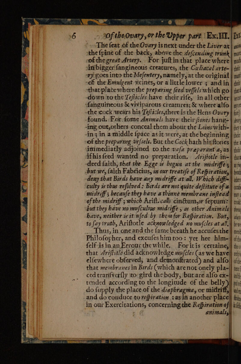 aN:  ia Ta) ) . wean : . 6 ai ‘The feat of the Ovary is next under the Livernat | pit | the {pine of the back, above the descending trunk | pur ofthe great Artery. For juftinthat place where | mi in’bigger fangineous creatures, the Celiacal arte | thei ry-goes into the Mefewtery, namely, at the original } mat “of the Emulgent veines, or a little lower 3 and in} ¢hei thavplatewhere the preparing feed veffels which go | tut! down tothe Tefizcles have their rife, in all other} ww ‘fanguineous &amp; viviparous creatures; &amp; where alfo| my the cock weats his Tefficles,thereis the Hens Ovary | for) found. For:fome Animals have their floves hang- | fur ing out,others conceal them about the Loins with- } hey in; in amiddle {pace as it were, at the beginning } her of the preparing vefsels. But the Cock hath hisftones | the: immediatly adjoined co the vafa preparant a, as) thei ifhis feed wanted no preparation. Ariftotle m=) tun t / deed faith, that the Egge ws begun at the midriffe 5) sty but we, faith Fabricius, iz our treatife of Refpir ation, } hea -deny that Birds have any midriffe atiall. Which diffim\\ yh culty is thus refolved : Birds are not quite deftitute of a) wai midriff ; becaufe they have a thinne membrane inftedd | my. of the midriff ; which Arift. calls cin@um,or fepeumr® } but they have no mufculous midviffe, as otber neo hor have, neither is it ufed by them for Refiration. Buty) sj to fay truth, Ariftotle acknowledged no mufcles at all.) hey __ Thus, in one and the fame breath he accufes the }} men) Philofopher, and excufeshimtoo: yet hee hime J oth felf-is in.an Errour tle while, Foritis certaine,|} they that Ariffotle did acknowledge mujcles (as we have} reli elfewhere obferved, and demonftrated) and alfo}} oft that membranes in Birds (which arenot onely pla-|) tex ced tranfverfly to gird the body, ‘but are alfo ex-l {4 tended according to the longitude of the belly) gis do fupply the place.of the diaphragma, or midriff.) wi, and do corduce to refiration asin another place} fii, in our Exercitations, concerning the Refzration-of\) ith mod animals, —. a