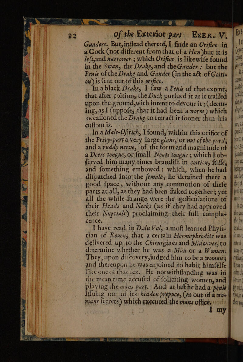 SS oT ow  Ganders. But,inftead thereof, I, finde an Orifice. in a Cock (not different trom that of a Hex but it is lefsand narrower; which Orifice is likewife found on)is {ent oucof this orsfice. that after coition,, the Duck purfued it as it trailed cuftom is. RPS ce In a Male-Ofirich, I found, within this orifice of a Deers tongue, or imiall Neats tongue ; which ] ob {erved him many times brandifh in coiticn, ftiffe; difpatched into’ the female, he detained there a good {pace, without any commotion of thefe parts at all, as they had been ftaked together 5 yee their Heads and, Necks (as if they had approved their Nuptials) proclaiming» their full compla- cence. ; | ‘ Lae I have read. in D.du Val, amoft learned Phyfi- tian of Rowen, that a certain Hermaphrodite was | delivered up tothe Chirurgians and Midwives, to They, upon di{covery,judged him to be a womans and thereupon he was enjoined to habit himfélfe | lixe one of that dex. He notwithftanding was in | the mean time accufed of foliciting women, and | playing the wans part. And at lafthehada penis | iffuing out of its: hidden prepuce, (as out of awe | wmaus {ecrets) which executed:the mans offices 11) | Tt my| the Pr jun i, nc being ft ae pe m Inthe tended, elves t wereal may: yo ou 0 infancy wi 7 Denne ( swith thonyin¢ ‘ thr i