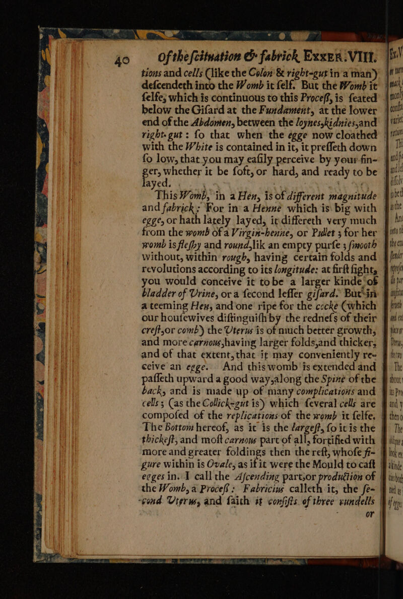 Bo ans ~&lt;a ah Ae : 40 of the fcétnation &amp; fabrick Exxen.VIIl. | V tions and cells (like the Colon’ &amp; right-gutin'a man’) |i! defcendeth into the Womb it elf. But the Womb ie | felfe; which is continuous to this Proceff, is feated .| pot below the Gifard at the Fundament, at thé lower | it end of the Abdomen, between the loynes,kidniesand | right.gut: fo that when the égge now cloathed | with the White is contained in it, it preffeth down | it fo low, that you may eafily perceive by your-fin- }! / ger» ate it be foft, or hard, and ready to be it! ayed. . ‘Pee “ag . me &amp; ee This Womb, ‘in a Hen, is of different magnitude | pbet and fabrick: For ina Henne which is: big with | egge, or hath lately layed, itdiffereth very much 9 At from the womb of a Virgin-henne, or Pullet 3 for her pit! womb is flefhy and round,lik an empty purfe finoath fibres without, within rough, having certain folds and § {Hw revolutions according to its longitude: at firft fight, § I! you would conceive it tobe a larger kinde of fi) bladder of Urine, ora fecond lefler gifard. Bucsin: § iil a teeming Hex, and’one ripe for the cecke Cwhich § hii our houfewives diftinguifhby the rednefs of their fw creftzor comb) the Uterus is of much better growth, 9 jw and more carnous,having larger folds,and thicker, J bn, and of that extent, thac if may conveniently ree § hin ceive an egge. And thiswomb is extended and § Ik paffeth upward a good way,along the Spiné of the B tut: back, and is made up of many complications and § ix?n cells; (as the Collick=gut is) which feveral cells are fail} compofed of the replications of the wemp it felfe. J then The Bottom hereof, as it is the dargeft,foicisthe 9 The thickeft, and moft carnons parc of all, fortified with ff hq, more and greater poridtes then the reft, whofe f= lnk gure within is Ovale, as if it were the Mould tocaft FP ikink eegesin. I call the Afcending partsor production of | thy} the Womb, a Proce}: Fabricins calleth-it, the fe= Pidy | “cond Urerusy and faith it confifts. of three rundells | ifr or ih H