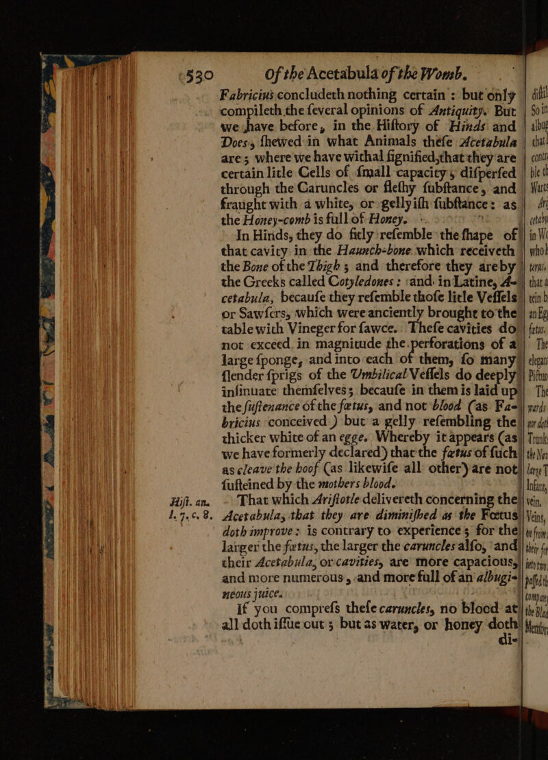 Of the Acetabula of the Womb. | Fabricius concludeth nothing certain’: but only | dill . compileth.the feveral opinions of Antiquity. But | 5010 we have before, in the Hiftory of Hinds and | all Does, fhewed-in what Animals thefe Acetzbula | tht are; where we have withal fignified,that they are | cot! certain litle Cells of {mall capacity, difperfed | ble t through the Caruncles or flefhy fubftance, and | Wat fraught with a white, or gellyifh fubftance: as | 4 the Honey-comb is full of Honey. -. . 1 cota In Hinds, they do ficly :refemble the fhape of) ini that cavity in the Haunch-bone which receiveth | who! the Bone of the Thigh 5 and therefore they areby ) tem, the Greeks called Cotyledones : ‘and: in'Latine, A=} that cetabula, becaufe they refemble thofe litle Veffels | tin or Sawfers, which wereanciently brought to the | aig table with Vineger for fawce. Thefe cavities do | fetu not exceed. in magnitude the ven of a} The large {fponge, and intoeach of them, fo many) dea {lender {prigs of the Umbilical Veflels do deeply) Pitw infinuate themfelvess becaufe in them is laid up!) The the fuftenance of the fetus, and not ‘blood (as: Fae\| paris bricius conceived.) but a gelly refembling the } jdji thicker white of an egge. Whereby it appears (as) we have formerly declared) thatthe fetus of fuch! as cleave the boof Cas likewife all: other) are not]