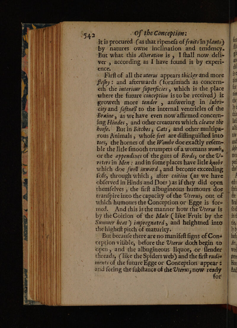 it is procured . (as that ripenefs of fruits in plants) by natures owne inclination and tendency. ‘But what this Alteration is , I fhall now -deli+ ver , according as I have found it by experi- ence. Firft of all the uterus appears thicker and more flefby: and afterwards (forafmuch as concern eth. the interiour fuperficies, which is the place where the future conception istobe received) it Braine, as we have even now affirmed concern- ing Hindes , and other creatures which cleave the hoofe. Butin Bitches; Cats, and other multipa- rous Animals, whofe feet are diftinguifhed into toes, the hornes of the Wombe doe exa&amp;ly refem= or the appendixes of the guits of Birds; or the U= retersin Men : and in {ome places have litle kaobs which doe fwell inward , and beconie exceeding foft, through which’, after coition (as we have obferved in Hinds and Does ) as if they did open themfelves , the firft albugineous humours doe which humours the by the Coition of the Male (like Fruit’ by the Summer beat) impregnated, and heightned into the higheft pitch of maturity. | , - But becaufe there are no manifeft figns of Cone ception vifible, before the Uterms doth begin ‘to open, and the albugineous liquor, or flender threads, (like the Spiders web) and the firft rudie ments of the future Egge or Conception appear ¢ and feeing the fubftance of the Vterts; now sr: for