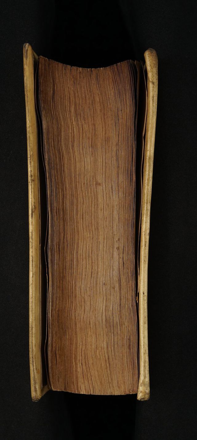 digitised image 3