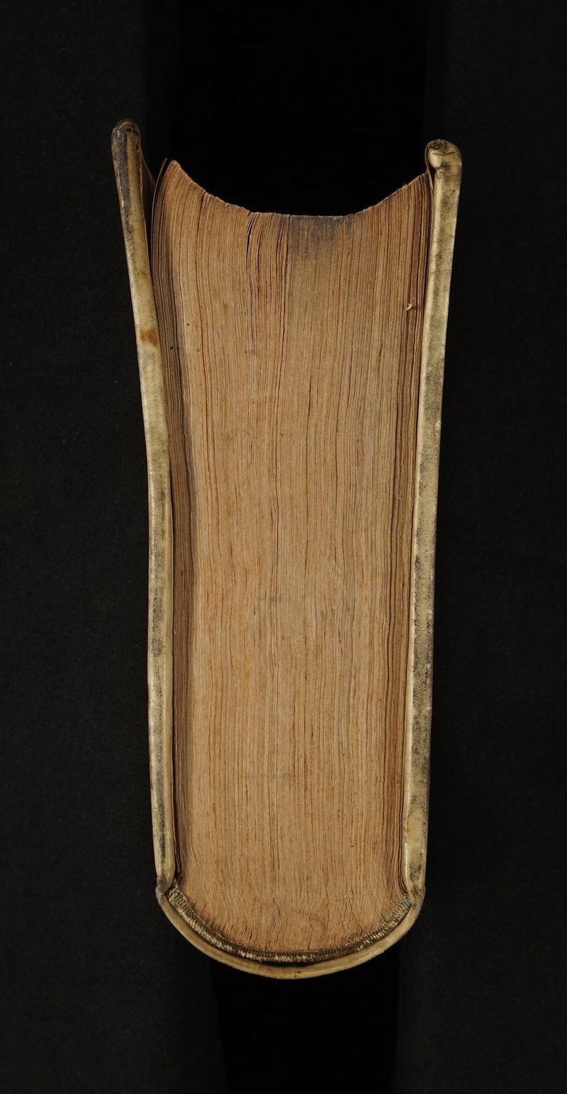 No text description is available for this image