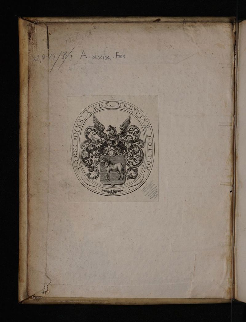 No text description is available for this image