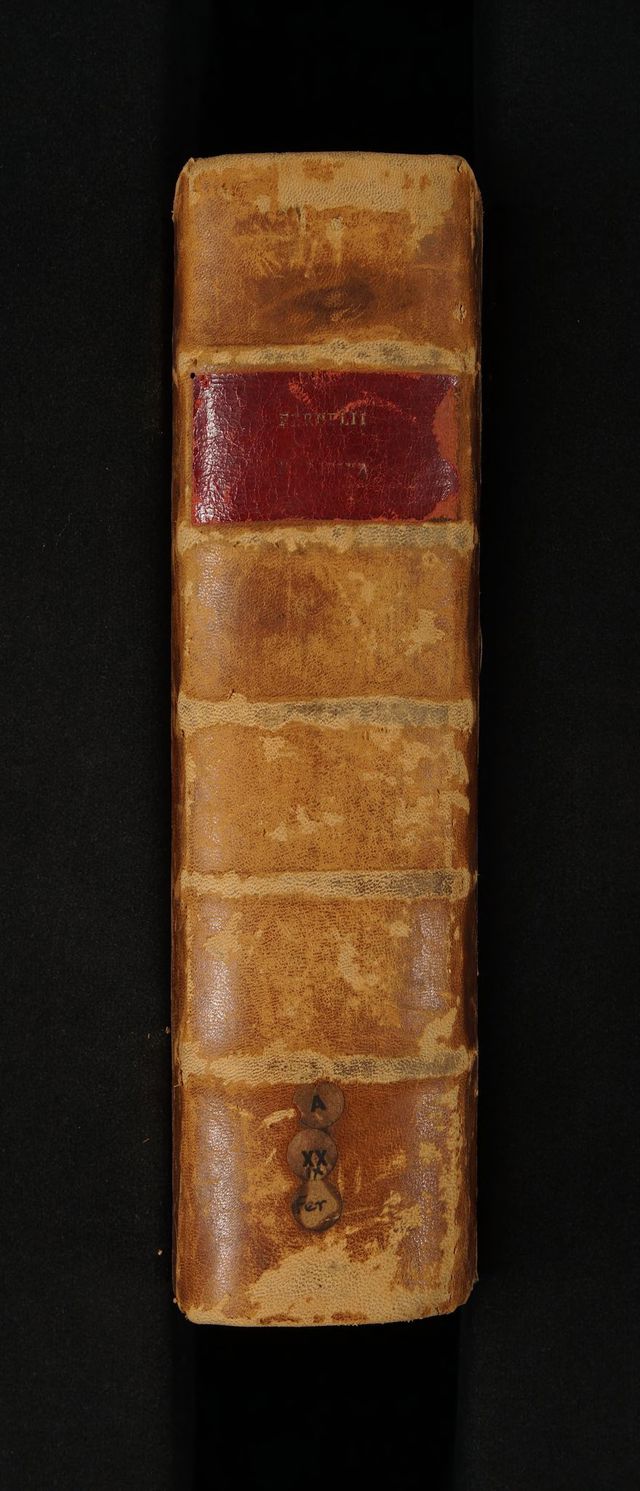digitised image 2