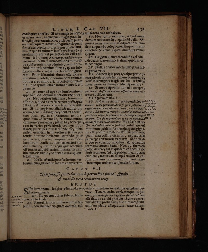 confequensnectet. Si non magistu homo qui fe tota haee res habeat. esquam puer, nequepuermagisquamin- ^ EV. Hoc igitur exprime, ut vel nunc fans,fequitur omnino neq;tuá quam pueri; demum nobis conftet ; quid tibivelis. O- neg;pueriquam infantis,neq;intantisquam portet enim huic noftre difputationi tan- fcetusutero geftati, nec hujusquamíemi- dem aliquando colophonem imponi;ne in- nis (in quo tu animam ineffe profiteris) vel. conclufa &amp; velut capite diminuta relin- praítantiorem vel perfectiorem effeani- quatur. —— ^ mam : fed omnesunoeodemqueperfettionisge- — BR. Tuigiturillam vel'conlude vel con- nere teneri. Nam. fi homo majoris minorif- cide, autfi id non plácet, alium qui cum di- ue differentias non admittit, nequepro- mices quere. culdubio ipfa hominis forma, quam füb- . Ev, Nullusopinor mortalium tuas haf- ftantiam effe conftat ipfo hominedignio- ce partes velit. rem. Proinfihominis femen effe dicisa- | BR. Annon ipfe potes; vel perpetuo e- nimatum ,; nobifque communem animamP narrationis tenore fermonem continuare ; obtinere, ea nihilo eritimperfe&amp;tior quam velfiinterrogatio magis arridet, te ipfüm tua : nec ipfum femen minushomo fuerit interrogare, viciffimque tibi refpondere? quam tu. EV. Sijmea refponfio tibi erit accepta, BR. Attamenid ego nondum hominem perbrevi Ztriffotelis oratione difficulias omnis exi- áppello quod hominis functiones nó obeat. | zzerar ac difcutietur. E V. Neque igitur infantem , hominem BR. Quznam ifta?] effe dicas, quod eatractare non poffit,qua ^. EV. Subfflantia( inquit) quodammodo funt ut àflorida &amp; vegete tatis hominegerun- zumeri. Nam quemadmodum [i quid fublatum omnium opinioncm , palam fit tc perpe- c 49e 4d fermam accommodatur. Floc fi eft, ut re- ram in varios perfectionis ordines; füb- cte J4rffereles fentitac judicat , nihil, ne vel ftantie participes formas diftribuiffe, uthu- minimum quidem,formz ejus quod gigni. milem quendam in hisordinem femen po- tur effe potuit in materia: &amp; illius potentia, tentiz nomine fortiretur. Attende igitur quam anteceffiffe dicimus , nequaquam inquas anguftiaste, tanquam in carceris particepseratformz ventura : Sed erat il- barathrum conjicis , dum. ardentiorivin- la ceu preeparatio quaedam, &amp; apparatus cendi ftudio , adniteris ejus quae acceffura formee accommodatus: Non qui formam eft formz aliquid femini impertiri&amp; dum — poffit allicere; aut vi quadam &amp; neceffitate liberalitatis ftudio , hoftem nature agisin- defe promere; fed qui patiens magis quam feftiffimum. efficiens materiam altoqui rudem &amp; re- BR. Nulla eft mihiprorfushorum ver- rum omnium communem inftruat con- borum cura;fatis enim mente complector, cinnamque reddat excipiendz forme. QRuUT VII. Con potuiffe geniti formam à parentibus fluere. Qualis C unde [mt vera formarum origo. BRUTU.S Ifte fermonem , longius effciendz reiA videor interdum in abfurda quedam de- ftudio excurris. volvi. Totam enim expletamque rei fpe- EV. Sicreserat obiter fub tuo filen- «ciem, per initia ffatim À genitore [amini inditam effe ftatuo : ac ubi primum id vim contra- nen inii. lexifti, non aliud fentio quam Arfferele, etfi. animam plene: affequutum : ante autem Eee 2 in