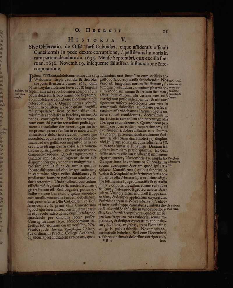  NUM tfr  ü. na i i Ii- em fie per  HI €T o Epq14y- corporatione, Walonicze ftirpis ; folidee &amp; thorofz corporis ftru&amp;turz , anno 1635. cum peftis Leyds violenter fzviret ; &amp; fingulis caufa. pedis dextritarfiloco humiliore Septemb. 20. indolefcere cepit;bene alioquin;ut ipfe referebat , fanus. Quippe natura robufta venenum peftilens à corde quàm ion mé propellebat : ficuti &amp; tunc aliis pluri- mis fimiles apoftafes in brachia , manus; &amp; pedes, contingebant. Hoc autem vene- num cum ibi partim tenacibus pedisliga- mentis conclufum detineretur , partim fo- ras prorumperet : fenfim in ea naturze ma- chinatione dolor increícebat , tumorque accedebat , qui tertia ex quo czeperat fepti- mana, ad ovi gallinacei magnitudinem ex- crevit, lividi nigricantis coloris, carbuncu- liidza , pruriginofus , &amp; cum ingenti cru- ciamento exedens. Quoab empirico male tractato applicatione unguenti de tutia &amp; diapompholygos , venenata malignitas in- trorfum repulía fuit: &amp; tumor quoque fponté difruptus ad oboli magnitudinem , in cacumine nigra vefica dehifcente, &amp; profluente humore peftilente adufto , o- doristeterrimi. Undepofteaulcus foedum effectum fuit , quod varia medela à chirur- gis tractatum eft. Sed longa die, potiusro- bufte naturz beneficio , quàm remedio- rum auxilio venenurn tandem debellatum fuit;permanente Offis Cuboidzi.five T'ef- five fphacelo, adeo ut nec confiftendo,nec incedendo pes officium facere poffet. Cum igituranno 1636. Nofocomium in- greffus fub noftram curam veniffet, No- vemb. 17. Mt. Iobanges Camphu[ius Chirur- gus ordinarius Practici Collegii Academi- rum inedelam vanam &amp; irritam futuram : acualifque cauterii ufu cariem eam tutó corrigi non poffe judicabamus : &amp; nifi cor- rigeretur mifero adolefcenti tota vita in «rumnofa dolorifica afflictione perfeve- randum effe videbamus. Itaque vegeta na- turz robori confidentes , decrevimus ut ferriaciesin remedium adhiberetur,&amp; offa corrupta excinderentur. Quamobrem pri- müm corporis totius preparationem , ad averfionem à doloreaffluxuri noxii humo- ris , per purgationem &amp;calterationem feci- mus. g. electuarii diacatholici 5vj. diaphze- nici 15 fyrupi rofati lax. cum foliis fenze 25, cum aqua fumariz F. hauftus. Dizetam fri- gidam humidam przfcripfimus. Et cum feftinandum effe aurz hiberng imminens culatur Cuneiforme ( quibus fuperius os Calcis &amp; Scaphoides, inferius vero tria co- pulantur offa Metatarfi , tresultimosdigi- tos fuftinentia ) que tota exciífa &amp; extracta fuere , &amp; poftridieadhuc eorum refiduum fruftum , miferando *groti cruciatu , &amp; e- julatu. Vulneri ftatim indita eft ftuppa can- nabina , &amp; defuper applicatum oxycratum. Poftridié autem n. Novembris 2o. Vulne- Qo; &amp; adfperfa hoc pulvere , quo etiam fu. pra hoc ftreptum tota vulneris lacuna im- plebatur, &amp; defuper oxycratum applicaba- tur, 3^. aloes, myrrha, ireosFlorentinz an. 5j, F. pulvis fubtiliss Novembris 22, meliufculé habebat. Sed cum Decembris * Ba noc gue CENE E CÁEe - — -