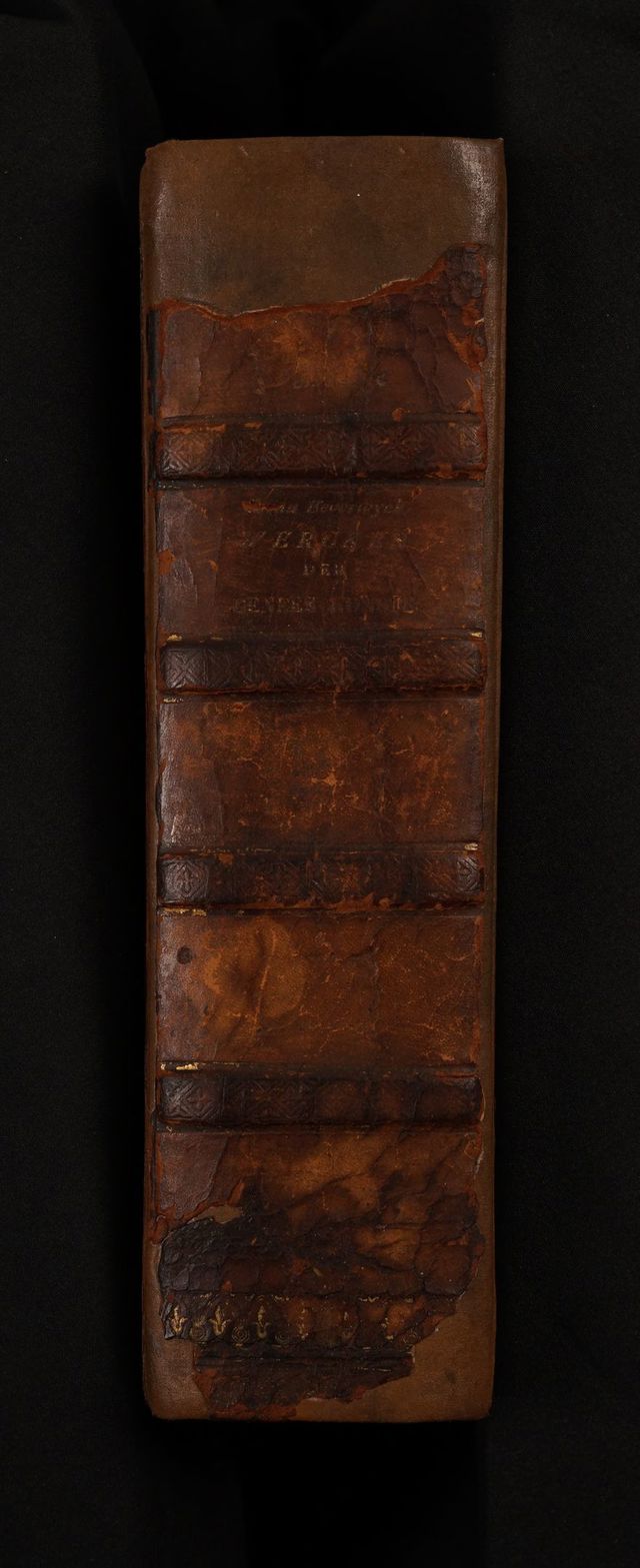 digitised image 2