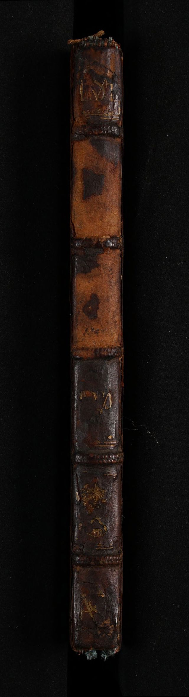 No text description is available for this image