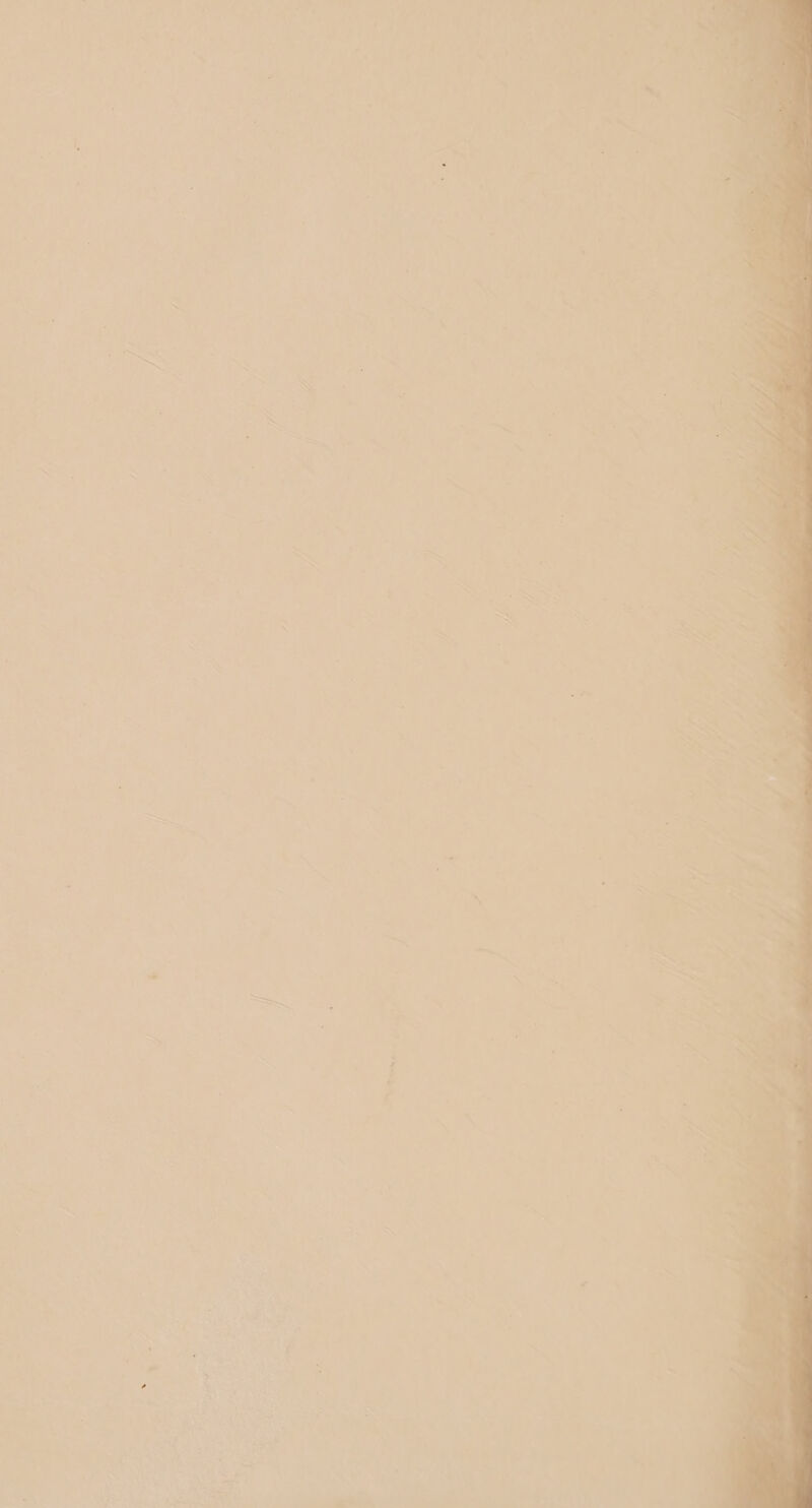 ve TSA, fe “ , 4 4 . 7 A fi ' ios d na re “—_ : I gf J : : ) ‘ida aae , . . : as 7 f . \ f ‘, ; ’ ‘ a . s < 3 i : wt j f ? j . ; ; i, * fs , - Pf 7 S i . K . . t F / : ; ;