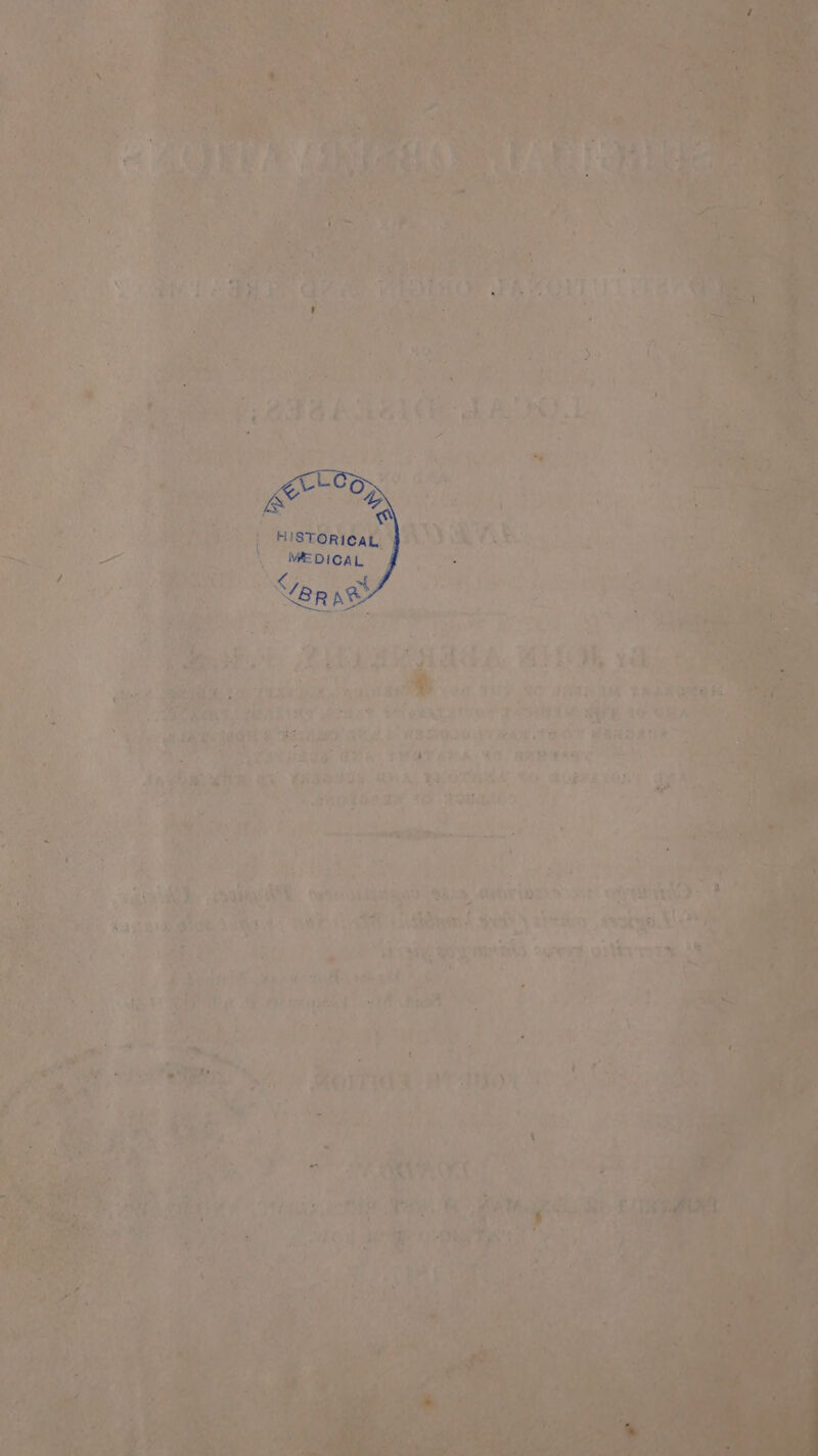 adab ned TACHI a as atest mn cee by, ALI rab AS ‘ + och fis 1K. fy (an _ TRit (Nr PT AIA 7 RAS Beas Me Ces Re gel ttite ease Si eA e ed Te RE Ag HBAS er “ 7, ih. 2 NE ue ia sa tae veils weds wo HERDAIE = adit : ee Dee One R Ga OY bh. TROT AIA. 20 AAR Ag SY ANA ae a 4 na she: sn) WARIS A WA) Rae Aa AY (REFS Tet Re aut Suoterae UW FIUaIes 2” - eau 7 PRE ; Wey teas ee hag 3 agit Aye ae Dut ‘dear: Spek) abate Ak yaNl 26 fh ig eh: ben bath’ bn ee ie ae sand cn ibaR® 9623, ‘at ae