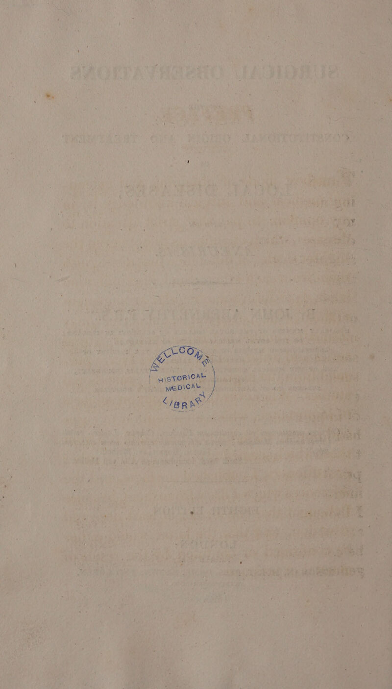 i a ahs i Pi: WF) ss oll ea ae Tew A baer LP net! Gt r a 1 ae, ~er,: 1 f (3, Ae NAR ye wa) 4 ; rie : Z ms yet Try, J Pa die bg i nied shia ts a Ne: ph Cas : mute su bens Bye aie ned ‘ sh r