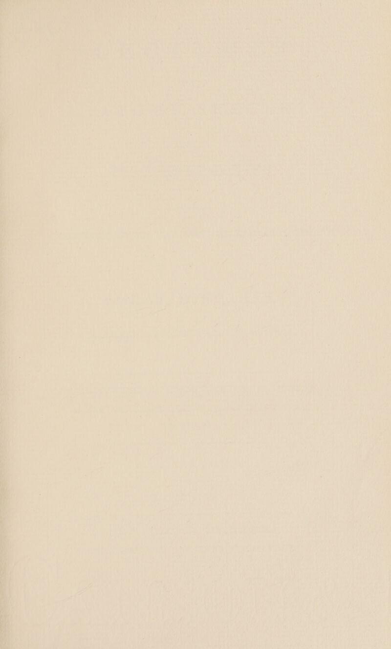 Wiel yy . TAs ol te aN eT a 1 iA Did alt ke