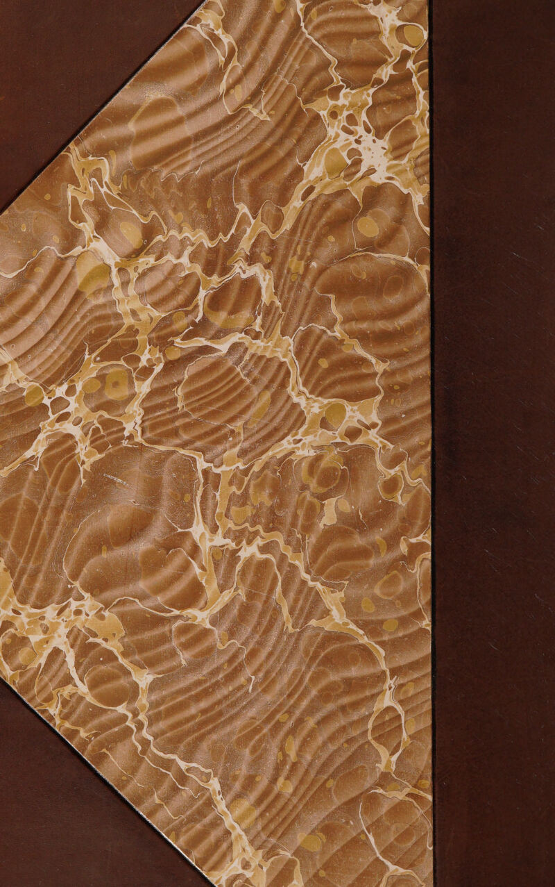 No text description is available for this image