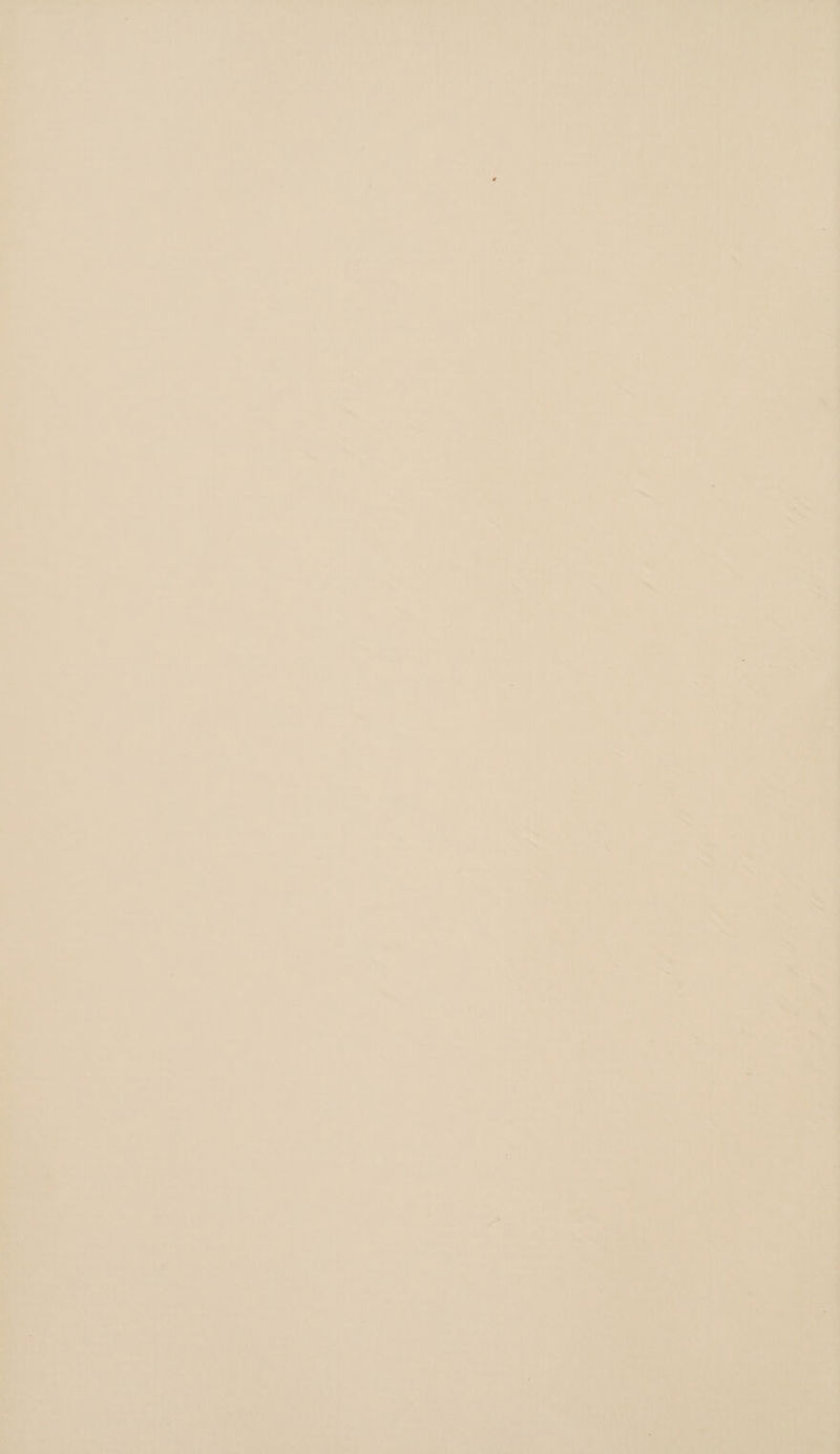 419 ee b Phitnae Noe fast yi ; ae ay ng Es aM wt DM ae Or) op ree IAL ite eo as Geet