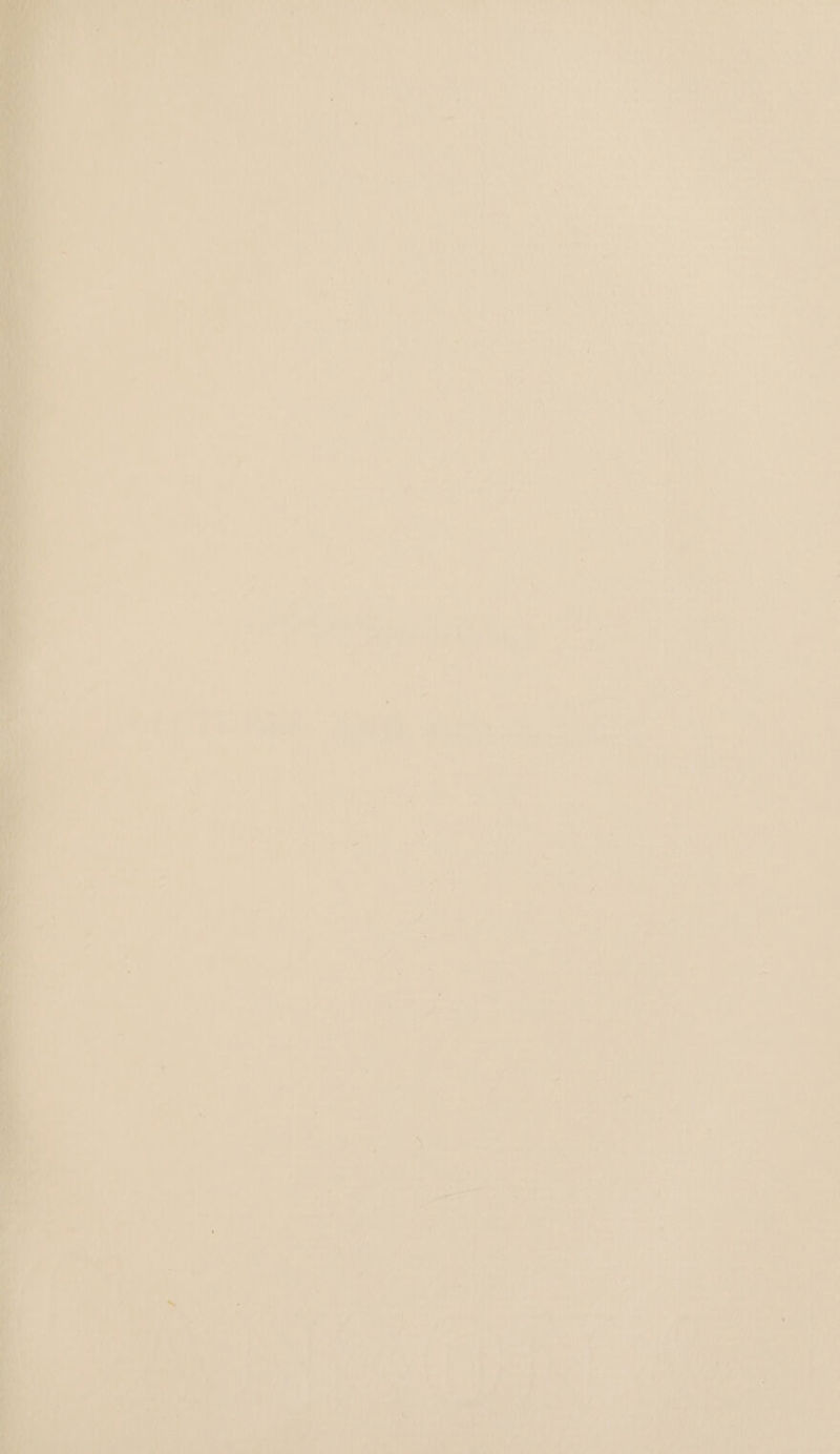 Serine or wae, aa ae ais ae af ay! 7 ae. | i 2 ry