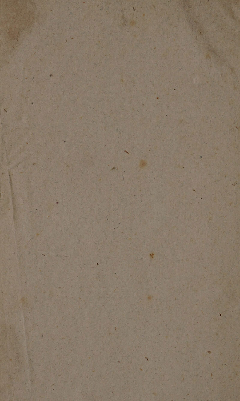 Laon all er) ee Tes.