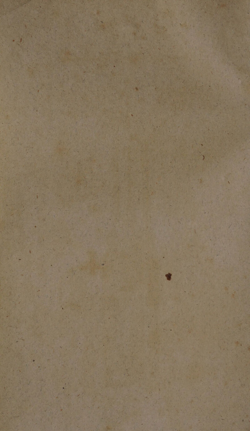 eer Pear Pies nt ag Bea wy