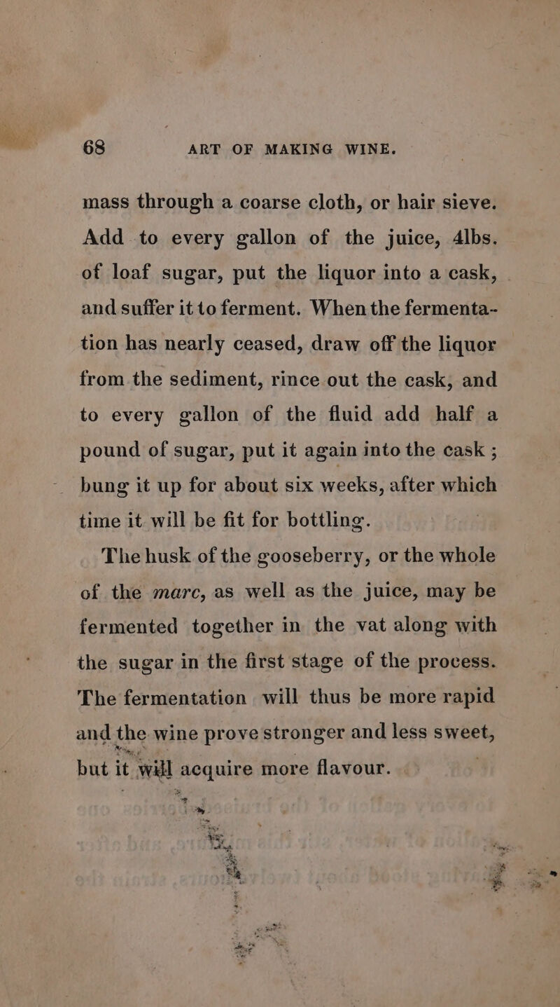 mass through a coarse cloth, or hair sieve. Add to every gallon of the juice, 4lbs. of loaf sugar, put the liquor into a cask, and suffer it 1o ferment. When the fermenta- tion has nearly ceased, draw off the liquor from the sediment, rince out the cask, and to every gallon of the fluid add half a pound of sugar, put it again into the cask ; bung it up for about six weeks, after which time it will be fit for bottling. The husk of the gooseberry, or the whole of the marc, as well as the juice, may be fermented together in the vat along with the sugar in the first stage of the process. The fermentation will thus be more rapid and the wine prove stronger and less sweet, but it will Aeguive more flavour. at - Fis % re