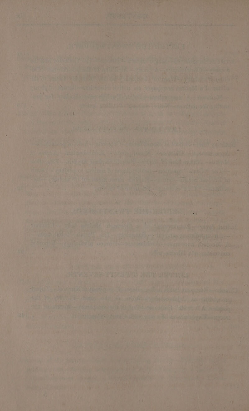 Tp ites Ee pea slantlns s8 eae h avers si 1 LEE tar nee ni ae , ria uh ce a eh ie Bh & Mtoe! f e wae Rass Siew ES heteth fet FE. I
