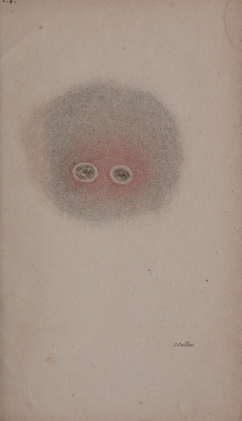 } , Bore - Reactant re ‘ ¥ . ‘ . ) ] 4 ‘ i \ r triller a “