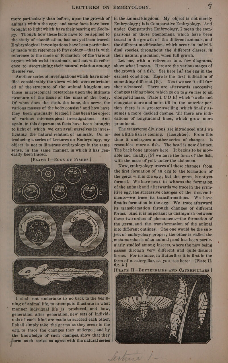 more particularly than before, upon the growth of animals within the egg; and some facts have been brought to light which have their bearing on Zoolo- gy. Though how these facts have to be applied to the study of classification, has not yet been traced. Embryological investigations have been particular- ly made with reference to Physiology—that is, with reference to the mode of formation of the various organs which exist in animals, and not with refer- ence to ascertaining their natural relation among themselves. ‘ Another series of investigations which have mod- ified considerably the views which were entertain- ed of the structure of the animal kingdom, are those microscopical researches upon the intimate structure of the tissue of the mass of the body. Of what does the flesh, the bone, the nerve, the various masses of the body,consist ¢ and how have they been gradually formed ? has been the object of various microscopical investigations. And again, in this department facts have been brought to light of which we can avail ourselves in inves- tigating the natural relation of animals. On in- troducing a series of Lectnres on Embryology, my ebject is not to illustrate embryologv in the same sense, in the same manner, in which it has gen- erally been traced. {Pirate I—EcGeés or FisneEs.] I shall not undertake to go back to the begin- ning of animal life, to attempt to illustrate in what manner individual life js produced, and how, generation after generation, new sets of individ- uals of each kind are made to succeed each other. I shall simply take the germs as they occur in the egg,to trace the changes they undergo; and by the knowledge of such changes, show that they i such series as agree with the natural series in the animal kingdom. My object is not merely Embryology; it is Comparative Embryology. And under Comparative Embryology, i mean the com- parisons of those phenomena which have been traced in the growth of the different animals, and the different modifications which occur in individ- dual species, throughout the different classes, in their natural gradation, when full grown. Let me, with a reference to a few diagrams, show whatI mean. Hereare the various stages of the growth of a fish. See here [A] the egg in the earliest condition. Here is the first indication of something different [Bj]. Next we see it still fur- ther advanced. There are afterwards successive changes taking place, which go on to give rise to an elongated mass, | Plate 1, C D E} which “swells and elongates more and more till in the anterior por- tion there is a greater swelling, which finally as- sumes a more decided change, till there are indi- cations of longitudinal lines, which grow more prominent. The transverse divisions are introduced until we see alittle fish is coming. [Laughter]. From this time it undergoes another series of changes. It resembles more a fish. The head is now distinct. The back bone appears here. It begins to be mov- able and finally, [F] we have the form of the fish, with the mass of yolk under the abdomen. Now, embryology traces all these changes from the first formation of an egg to the formation of the germ within the egg; but the germ is not yet formed. We have next to witness the formation of the animal; and afterwards we trace in the prim- itive egg, the successive changes of the first rudi- ments—we trace its transformations. We have first its formation in the ege. We trace afterward its transformation through changes of different forms. And it is important to distinguish between these two orders of phenomena—the formation of the germ, and the transformation of the animal into different outlines. The one would be the sub- ject of embryology proper; the other is called the EMBRYOLOGY. ularly studied among insects, where the new being passes through very different and quite distinct forms. For instance, in Butterflies it is first in the form of a caterpillar, as you see here :—[Plate II. fig. Aj [PLATE II—BUTTERFLIFS AND CATERPILLARS J