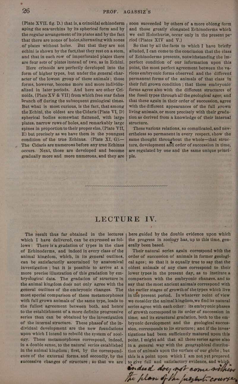 (Plate XVII. fig. D.) that is, a crinoidal echinoderm aping the sea-urchins by its spherical form and by the regular arrangement of its plates and by the fact that there are zones of holes,alternating with zones of plates without holes. But that they are not echini is shown by the fact,that they rest on a stem, and that in each row of imperforated plates there are four sets of plates instead of two, as in Echini. Here crinoids are perfectly developed into the form of higher types, but under the general char- acter of the lowest group of these animals ; those forms, however, become more and more individu- alized in later periods. And here are other Cri- noids, (Plate XV &amp; VII) from which free star fishes branch off during the subsequent geological times. But what is most curious, is the fact, that among the Echini, the oldest are the Cidaris (Plate VI, D) spherical bodies somewhat flattened, with large plates, narrow rows of holes, and remarkably large spines in proportion to their proper size, (Plate VII, E) but precisely as we have them in the youngest condition of the true Echinus. (Plate XI, G).— The Cidaris are numerous before any true Echinus occurs. Next, those are developed and become gradually more and more numerous, and they are soon succeeded by others of a more oblong form and those greatly elongated Echinoderms which we call Holothuriz, occur only in the present pe- riod (Plates XIV and V.) So that by all the facts to which I have briefly alluded, I can come to the conclusion that the class of Echinoderms presents, notwithstanding the im- perfect condition of our information upon this point, the most perfect agreement between the va- rious embryonic forms observed. and the different permanent forms of the animals of that class in their full grown condition ; that these embryonic forms agree also with the different structures of the fossil types through all the geological ages; and that these again in their order of succession, agree with the different appearances of the full grown living animals, or more precisely with their grada- tion as derived from a knowledge of their internal structure. These various relations, so complicated, and nev- ertheless so permanent in every respect, show the same thought throughout the whole—that struc- ture, development and order of succession in time, are regulated by one and the same unique haat ple. The result thus far obtained in the lectures which I have delivered, can be expressed as fol- lows: There is a gradation of types in the class of Echinoderms, and indeed in every class of the animal kingdom, which, in its general outlines, can be satisfactorily ascertained by anatomical investigation ; but it is possible to arrive at a more precise illustration of this gradation by em- bryological data. The gradation of structure in the animal kingdom does not only agree with the general outlines of the embryonic changes. The most special comparison of these metamorphoses with full grown animals of the same type, leads to to the establishment of a more definite progressive series than can be obtained by the investigation of the internal structure. These phaseg of the in- dividual development are the new foundations upon which [ intend to rebuild the system of zool- ogy. These metamorphoses correspond, indeed, in a double sense, to the natural series established in the animal kingdom; first, by the correspond- ence of the external forms, and secondly, by the successive changes of structure ; so that we are ; - here guided by the double evidence upon which the progress in zoology has, up to this time, gen- erally been based. ; Their natural series again correspond with the cal ages; so that it is equally true to say that the oldest animals of any class correspond to their lower types in the present day, as to institute a comparison with the embryonic changes. and to say that the most ancient animals correspond with the earlier stages of growth of the types which live in the present period. In whatever point of view we consider the animal kingdom,we find its natural series agree with each other: its embryonic phases of growth correspond to its order of succession in time; and its structural gradation, both to the em- bryonic development and the geological succes- sion, corresponds to its structure; and if the inves- tigations had been sufficiently matured upon this point, I might add that all these series agree also ina general way with the geographical distribu- tion of animals upon the surface of our globe ; but this is a point upon whichI am not yet prepared to give full and satisfactory evidence, and =