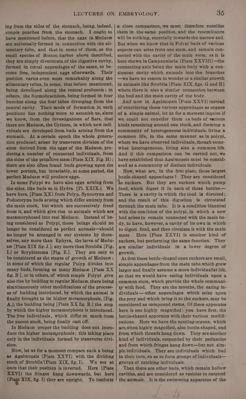 ing from the sides of the stomach, being, indeed, simple pouches from the stomach. I ought to have mentioned before, that the eggs in Medusee are universally formed in| connection with the ali- mentary tube, and thatin some of them, as the small species of Boston harbor above described, they are simply diverticula of the digestive cavity, formed in ccecal appendages of the same, to be- come free, independent eggs afterwards. Their position varies even most remarkably along the alimentary tubes, in some, that before mentioned, being developed along the central proboscis ; in bunches along the four tubes diverging from the central cavity. Their mode of formation in such positions has nothiag more to astonish us, since we know, from the investigations of Sars, that there are Meduss, the Cythers, in which new indi viduals are developed from buds arising from tLe stomach. At acertain epoch the whole genera- tion produced, arises by transverse division of the stem derived from the eggs of the Medusz, pro- ducing a number of connected individuals, from the sides of the primitive stem (Plate XIX Fig. H); there are also often found buds growing upon the lower portion, but invariably, at some period, the perfect Mudusz will produce eggs. In some Polypi we have also eggs arising from the sides, like buds as in Hydra. [Pl. XXIX| We have here, [Plate XX] from Polyp, Syncoryna and Podocoryna buds arising which differ entirely from the main stock, but which are successively freed from it, and which give rise to animals which are metamorphosed into real Medusz. Instead of be- ing considered as Polypi, those beings should no longer be considered as perfect animals—should no longer be arranged in our systems by them- selves, any more than Ephyra, the larva of Medu- sx {Plate XIX fig. J.]; any more than Strobila [Fig. I.] or Scyphistoma [Fig. E.]. They are only to be considered as the stages of growth of Meduse ; in some of which the regular Polyp divides into many buds, forming as many Medusz [Plate XX fig. B ], or in others, of which simple Polypi give also rise by budding to regular Medusz, there being simultaneously other modifications of the process- es of budding introduced, by which the animal is finally brought to its higher metamorphosis, [Fig- A.|; the budding being [Plate XX fig. B.] the step by which the higher metamorphosis is introduced. The free individuals, which differso much from the parent stock, being finally cast off. In Medusz proper the budding does not intro- duce the higher metamorphosis; this taking place only in the individuals formed by transverse divi- sion. Now, let us for a moment compare such a being as Agalmopsis (Plate XXVI) with the dividing stock of Strobila(Plate XIX, fig.I). We see at once that their position is inverted. Here (Plate XXVI) the fringes hang downwards, but here ide XIX, fig. I) they are upright. To institute 35 a close comparison, we must therefore consider them in the same position, and the resemblance will be striking, especially towards the narrow end. But when we know that in Polypi buds of various aspects can arise from one stem, and remain con- nected with the cavity of the inain stem, asit is here shown in Campanularia (Plate XX VIII)—the connecting axis being the main body with a con- tinuous cavity which extends into the: branches —we have no reason to wonder at a similar growth in animals like Strobila (Plate XIX, figs. G and H) where there is also a similar connection between the bud and the main cavity of the body. And now in Agalmopsis (Piate XXVI) instead of considering those various appendages as organs of a simple animal, let us for a moment inquire if we could not consider them as buds of various kinds remaining around one stock, and forming a community of heterogeneous individuals, living a common life, in the same manner as in polypi, where we have observed individuals, though some- what heterogeneous, living also a common life. And if this comparison can be carried out, we have established that Agalmopsis must be consid- ered as a community of distinct individuals. Now, what are, in the first place, those largest bottle-shaped appendages? They are considered ‘as suckers. But they are suckers which pump food, which digest it in each of these bottles.— There is acavity in which the food is digested; and the result of this digestion is circulated through the main tube. It is a condition identical with the condition of the polypi, in which a new bud arisesto remain connected with the main bo- dy, to have, however, a cavity of its own in which to digest food, and then circulate it with the main mass. Here (Plate XXVI) is another kind of suckers, but performing the same function. They are similar individuals in a lower degree of growth. At first these bottle-shaped open suckers are small, simple appendages from the main tube,which grow larger and finally assume a more individualist life, so that we would have eating individuals upon a common stem, which provide the whole communi- ty with food. They are the mouths, the eating in- dividuals — other appendages which seize upon the prey and which bring it to the suckers, may be considered as compound stems. Of these apporates here is one highly magnified: you have first, the bottle-shaped apporates with their various modifi- cations. Here we have the nettling organs, which are,when highly magnified, also bottle-shaped, and from which threads hang down. They are another kind of individuals, suspended by their peduncles and from which fringes hang down—but not sim- ple individuals. They are individuals which bud in their turn, so as to form groups of individuals— groups of catching individuals. - Then there are other buds, which remain hollow cavities, and are considered as vesicles to suspend the animals. It is the swimming apparatus of the