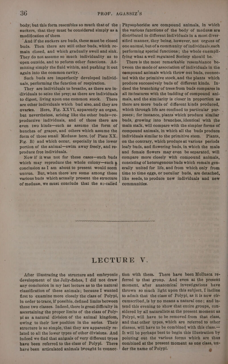 body; but this form resembles so much that of the suckers, that they must be considered simply as a modification of them. ‘And if the suckers are buds, these must be closed buds. Then there are still other buds, which re- main closed, and which gradually swell and sink. They do not assume so ‘much individuality as to open outside, and to peform other functions. Ad- mitting simply the fluid within, and pushing it out again into the common cavity. Such buds are imperfectly developed individ- uals, performing the function of respiration. They are individuals to breathe, as there are in- dividuals to seize the prey; as there are individuals to digest, living upon one common stock. There are other individuals which bud also, and they are ovaries. Here, Fig. XX VI, apparently an organ, but nevertheless, arising like the other buds—re- productive individuals, and of these there are even two kinds—such as assume the form of bunches of grapes, and others which assume the form of those small Medusz here, (of Plate XX. Fig. B) and which occur, especially in the lower portion of the animal—swim away freely, and re- produce free individuals. — Nowif it was not for these cases—such buds which may reproduce the whole colony—such a conclusion as I am about to present would seem untrue. But, when there are some among these various buds which actually present the structure of medusa, we must conclude that the so-called the various functions of the body of meduse# are distributed to different individuals in a most diver- sificd manner, they being, however, not organs of one animal, but ofa community of individuals,each performing special functions; the whole exempli- fying what a well regulated Society should be. There is the most remarkable resemblance be- tween the mode of association of individuals in the cempound animals which throw out buds, connec- ted with the primitive stock, and the plants which produce successively buds of different kinds. In- deed the branching of trees from buds compares in all its features with the budding of compound ani- mals, and the similarity is closer in proportion as there are more buds of different kinds produced, which through life are confined to particular pur- poses ; for instance, plants which produce similar buds, growing into branches, identical with the main staik, wlll compare with the simpler forms of compound animals, in which all the buds produce individuals similar to the primitive stem. Plants, on the contrary, which produce at various periods leafy buds, and flowering buds, in which the male and female flowers may even be separated, will compare more closely with compound animals, consisting of heterogenous buds which remain gen- erally united for life, and from which only from time to time eggs, or peculiar buds, are detached, like seeds, to produce new individuals and new communities. After illustrating the structure and embryonic development of the Jelly-fishes, I did not draw any conclusion in my last lecture as to the natural classification of these animals; because I wanted first to examine more closely the class of Polypi, in order to trace, if possible, defined limits between these two classes. Indeed, there is great difficulty in ascertaining the proper limits of -the class of Poly- pias anatural division of the animal kingdom, owing to their low position inthe series. Their structure is so simple, that they are apparently re- lated to all the lower types of other divisions. And indeed we find that animals of very different types have been referred to the class of Polypi. There have been articulated animals brought in connec- tion with them. There have been Mollusca re- ferred to that group. And even at the present moment, after anatomicai investigations have thrown so much light upon this subject, [ incline to admit that the class of Polypi, as it is now cir- cumscribed,is by no means a natural one; and in- tend this evening to show that entire groups, con- sidered by all naturalists at the present moment as Polypi, will have to be removed from that class, and that other types, which are referred to other classes, will have to be combined with this class.— It will be perhaps best to begin this illustration by pointing out the various forms which are thus combined at the present moment as one class, un- der the name of Polypi. 6
