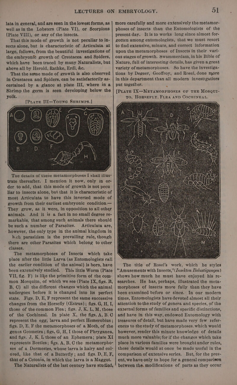 lata in general, and are seen in the lowest forms, as well asin the Lobsters (Plate VI), or Scorpions (Plate VIII), or any of the insects. That this mode of growth is not peculiar to in- sects alone, but is characteristic of Articulata at large, follows, from the beautiful investigations of the embrvonic growth of Crustacea and Spiders, which have been traced by many Naturalists, but above all by Herold, Rathke, Erdl, &amp;c. That the same mode of growth is also observed in Crustacea and Spiders, can be satisfactorily as- certained by a glance at plate III, where in a Shrimp the germ is seen deyeloping below the yolk. The details of these metamorphoses I shall illus- trate thereafter. I mention it now, only in or- der to add, that this mode of growth is not pecu liar to insects alone, but that it is characteristic of most Articulata to have this inverted mode of growth from their earliest embryonic condition.— They grow, as it were, in opposition to all other animals. And it is a fact in no small degree re- markable, that among such animals there should be such a number of Parasites. Articulata are, - however, the only type in the animal kingdom in h.ch parasitism is the prevailing rule, though there are other Parasites which belong to other classes. The metamorphoses of Insects which take place after the little Larva (as Entomologists call the earlier condition of the animal) is born, have been extensively studied. This little Worm (Plate VII, fig. F) is like the primitive form of the com- mon Mosquito, of which we see (Plate IX, figs. B, B, C) all the different changes which the animal undergoes before it is changed into its perfect state. Figs. D, E, F represent the same successive changes from the Horsefly (CEstrus); figs. G, H, I, of the Cochineal. In plate X, the figs. A, B.C represent the egg, larva and perfect Hemerobius ; figs. D, E, F the metamorphoses of a Moth, of the genus Geometra; figs. G, H, I those of Phryganea, and figs. J, K. L those of an Ephemera; plate XI represents Beetles; figs. A,B, C the metamorpho- ses of a Dermestes, whose larva is hairy and col- ored, like that of a Butterfly; and figs. D, E, F, that of a Cetonia, in which the larva is a Maggot. The Naturalists of the last century have studied, 51 more carefully and more extensively the metamor- phoses of insects than the Entomologists of the present day. It is to works long since almost for- gotten among entomologists, that we must resort to find extensive, minute, and correct information upon the metamorphoses of Insects in their vari- ous stages of growth. Swammerdam, in his Bible of Nature, full of interesting details, has given a great variety of metamorphoses. So have the investiga- tions by Degeer, Geoffroy, and Rose!l, done more in this department than all modern investigatiors put together. 2 The title of Rosel’s work, which he styles “Amusements with Insects,” (Jnsekten Belustigungen) shows how much he must have enjoyed his re- searches. He has, perhaps, illustrated the meta- morphoses of insects more fully than they have been examined before or since. In our modern times, Entomologists have devoted almost all their attention tothe study of genera and species, of the external forms of families and specific distinctions, and have in this way, endowed Entomology with treasures of detail, but have made very few refer- ences to the study of metamorphoses. which would however, render this minute knowledge of details much more valuable; for if the changes which take place in various families were brought under rules, these details would at once be made useful in the comparison of extensive series. But, for the pres- ent, we have only to hope for a general comparison between the. modifications of parts as they occur