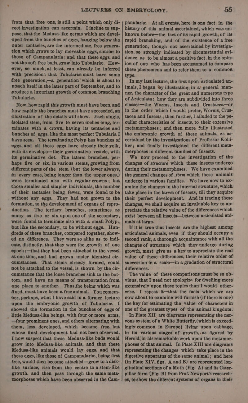from that free one, is still a point which only di- rect investigation can ascertain. I incline to sup- pose, that the Medusa-like germs which are devel- oped from the bunches of eggs, hanging below the outer tentacles, are the intermediate, free genera- tion which grows to lay moveable eggs, similar to those of Campanularia; and that these eggs, and mot the soft free buds, grow into Tubularis. How- ever, 8s@ much, at least, can already be inferred with precision: that Tubularis must have some free generation,—a generation’ which is about to attach itself in the latter part of September, and to produce a luxuriant growth of common branching Tubularie. how rapidly the branches must have succeeded, an illustration of the details will show. Each single, isolated stera, from five to seven inches long, ter- minates with a crown, having its tentacles and bunches of eggs, like the most perfect Tubularia I haye seen. The terminating Polyp has bunches of eggs, and all these eggs have already their yolk, with its envelope—their germinative vesicle, with its germinative dot. The lateral branches, per- haps five or six, in various stems, growing from different parts of the stem {but the lower always, in every case, being longer than the upper ones,) were terminated also with regular crowns ; but those smaller and simpler individuals, the number of their tentacles being fewer, were found to be without any eggs. They had not grown to the formation, to the development of organs of repro- duction. The tertiary branches, sometimes as many as five or six upon one of the secondary, were found to terminate also with a small Polyp; but like the secondary, to be without eggs. Hun- dreds of these branches, compared together, show- ed no difference. They were so alike as to indi- cate, distinctly, that they were the growth of one epoch ;—that they had been attached to the vessel at one time, and had grown under identical cir- cumstances. That stems already formed, could not be attached to the vessel, is shown by the cir- cumstance that the loose branches sink to the bot- tom, and have no means of transportation from ene place to another. Thus,the being which was fixed, must have been a freeanimal. You remem- ber, perhaps, what I have said in a former lecture upon the embryonic growth of Tubulariz. I showed the formation in the bunches of eggs of _ little Medusa-like beings, with four or more arms, —four prominent ones, and others alternating with them, less developed, which became free, but whose final development had not been observed. { now suspect that these Medusa-like buds would grow into Medusa-like animals, and that these Medusa-like animals would lay eggs, and that these eggs, like those of Campanulariz, being first free, would then become attached—grow to a disk- like surface, rise from the centre to a stem-like growth, and then pass through the same meta- morphoses which have been observed in the Cam- 55 panulariz. At ail events, here is one fact in the history of this animal ascertained, which was un- known before—the fact of its rapid growth, of its rapid branching, and of the existence of a free generation, though not ascertained by investiga- tion, so strongly indicated by circumstantial evi- dence as to be almost a positive fact, in the opin- ion of one who has been accustomed to Compare these phenomena and to refer them to a common ty pe. } In my last lecture, the first upon articulated an- imals, I began by illustrating, in a’ general man- ner, the character of the great and numerous type of Articulata; how they are subdivided into three classes—the Worms, Insects and Crustacea—or in the order which I would prefer, Worms, Crus- tacea and Insects ; then further, I alluded to the pe- culiar characteristics of insects, to their extensive metamorphoses; ana then more ‘fully illustrated the embryonic growth of these animals, as as- certained by the investigations of Professor Kolli- ker; and finally investigated the different meta- morphoses in different families of Insects. We now proceed to the investigation of the changes of structure which these insects undergo during their metamorphoses. We have examined the general changes of form which these animals undergo in various families. We have now to ex- amine the changes in the internal structure, which take place in the larve of Insects, till they acquire their perfect development. And in tracing these changes, we shall acquire an invaluable key to ap- preciate the relative value of the differences which exist between all insects—between articulated ani- mals at large. if itis true that insects are the highest among articulated animals, even if they should occupy a second rank, a thorough acquaintance with all the changes of structure which they undergo during growth, must give us a key to appreciate the real value of these differences, their relative order of succession in a scale—in a gradation of structural differences. The value of these comparisons must:be so ob- vious, that [ need not apologize for dwelling more extensively upon these topics than I would other- wise. { repeat it—that the facts which we are now about to examine will furnish (if there is one) the key for estimating the value of characters in one of the greatest types of the animal kingdom. In Plate XII are diagrams representing the ner- vous system of a White Butterfly,( which is exceed- ingly common in Europe) living upon cabbage, in its various stages of growth,-as figured by Herold, in his remarkable work upon the metamor- phoses of that animal. In Plate XIII are diagrams representing the changes which take place in the digestive apparatus of the same animal; and here (in Plate XIV, figs. A and B) are represented lon- gitudinal sections of a Moth (Fig. A) and its Cater- pillar form (Fig. B) from Prof. Newport’s research- es, to show the different systems of organs in their