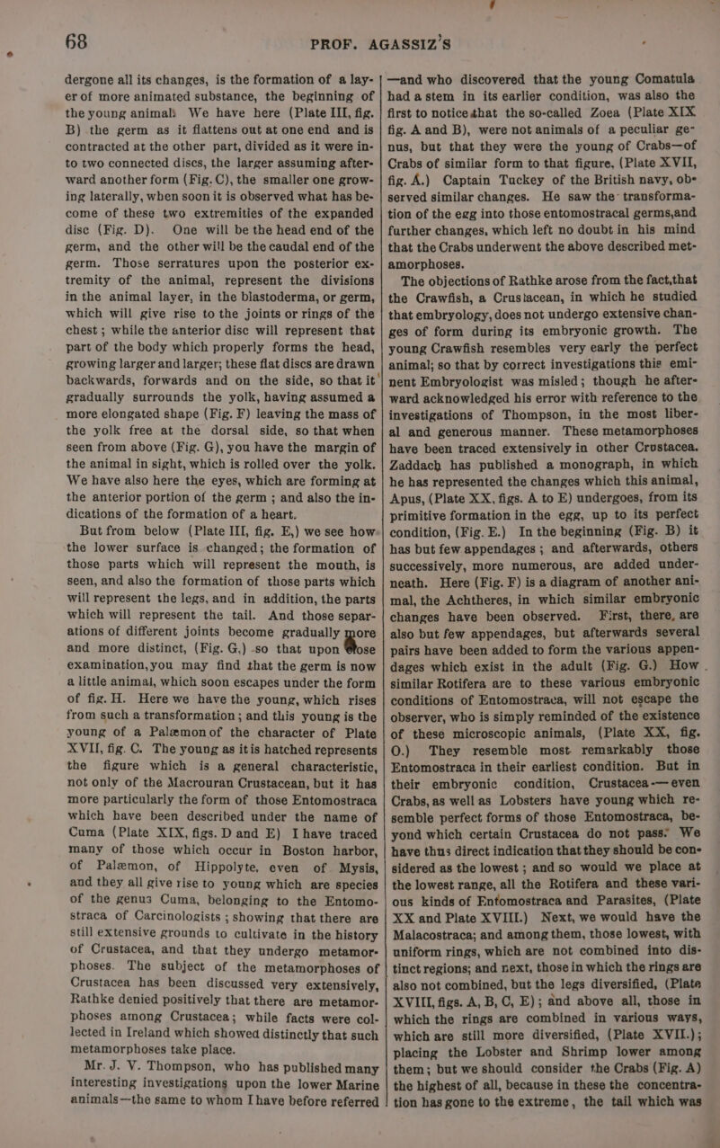 dergone all its changes, is the formation of a lay- er of more animated substance, the beginning of the young animal} We have here (Plate III, fig. B) the germ as it flattens out at one end and is contracted at the other part, divided as it were in- to two connected discs, the larger assuming after- ward another form (Fig. C), the smaller one grow- ing laterally, when soonit is observed what has be- come of these two extremities of the expanded disc (Fig. D). One will be the head end of the germ, and the other will be the caudal end of the germ. Those serratures upon the posterior ex- tremity of the animal, represent the divisions in the animal layer, in the blastoderma, or germ, which will give rise to the joints or rings of the chest ; while the anterior disc will represent that part of the body which properly forms the head, growing larger and larger; these flat discs are drawn backwards, forwards and on the side, so that it’ gradually surrounds the yolk, having assumed a more elongated shape (Fig. F) leaving the mass of the yolk free at the dorsal side, so that when seen from above (Fig. G), you have the margin of the animal in sight, which is rolled over the yolk. We have also here the eyes, which are forming at the anterior portion of the germ ; and also the in- dications of the formation of a heart. But from below (Plate III, fig. E,) we see how the lower surface is changed; the formation of those parts which will represent the mouth, is seen, and also the formation of those parts which will represent the legs, and in addition, the parts which will represent the tail. And those separ- ations of different joints become gradually more and more distinct, (Fig. G,) -so that upon @ose examination,you may find that the germ is now a little animal, which soon escapes under the form of fig. H. Here we have the young, which rises from such a transformation ; and this young is the young of a Palemonof the character of Plate XVII, fig. C. The young as itis hatched represents the figure which is a general characteristic, not only of the Macrouran Crustacean, but it has more particularly the form of those Entomostraca which have been described under the name of Cuma (Plate XIX, figs. D and E) I have traced many of those which occur in Boston harbor, of Palemon, of Hippolyte, even of. Mysis, and they all give rise to young which are species of the genus Cuma, belonging to the Entomo- straca of Carcinologists ; showing that there are still extensive grounds to cultivate in the history of Crustacea, and that they undergo metamor- phoses. The subject of the metamorphoses of Crustacea has been discussed very extensively, Rathke denied positively that there are metamor- phoses among Crustacea; while facts were col- lected in Ireland which showed distinctly that such metamorphoses take place. Mr. J. V. Thompson, who has published many interesting investigations upon the lower Marine animals—the same to whom [ have before referred —and who discovered that the young Comatula had a stem in its earlier condition, was also the first to notice that the so-called Zoea (Plate XIX fig. A and B), were not animals of a peculiar ge- nus, but that they were the young of Crabs—of Crabs of similar form to that figure, (Plate XVII, fig. A.) Captain Tuckey of the British navy, obs served similar changes. He saw the transforma- tion of the egg into those entomostracal germs,and further changes, which left no doubt in his mind that the Crabs underwent the above described met- amorphoses. The objections of Rathke arose from the fact,that the Crawfish, a Crustacean, in which he studied that embryology, does not undergo extensive chan- ges of form during its embryonic growth. The young Crawfish resembles very early the perfect animal; so that by correct investigations thie emi- nent Embryologist was misled; though he after- ward acknowledged his error with reference to the investigations of Thompson, in the most liber- al and generous manner. These metamorphoses have been traced extensively in other Crustacea. Zaddach has published a monograph, in which he has represented the changes which this animal, Apus, (Plate XX, figs. A to E) undergoes, from its primitive formation in the egg, up to its perfect condition, (Fig. E.) In the beginning (Fig. B) it has but few appendages ; and afterwards, others successively, more numerous, are added under- neath. Here (Fig. F) is a diagram of another ani- mal, the Achtheres, in which similar embryonic changes have been observed. First, there, are also but few appendages, but afterwards several pairs have been added to form the various appen- dages which exist in the adult (Fig. G.) How - similar Rotifera are to these various embryonic conditions of Entomostrava, will not escape the observer, who is simply reminded of the existence of these microscopic animals, (Plate XX, fig. O.) They resemble most. remarkably those Entomostraca in their earliest condition. But in their embryonic condition, Crustacea-—even Crabs, as well as Lobsters have young which re- semble perfect forms of those Entomostraca, be- yond which certain Crustacea do not pass’ We have thus direct indication that they should be con- sidered as the lowest ; and so would we place at the lowest range, all the Rotifera and these vari- ous kinds of Entomostraca and Parasites, (Plate XX and Plate XVIII.) Next, we would have the Malacostraca; and among them, those lowest, with uniform rings, which are not combined into dis- tinct regions; and next, those in which the rings are also not combined, but the legs diversified, (Plate XVII, figs. A, B, C, E); and above all, those in which the rings are combined in various ways, which are still more diversified, (Plate XVII.); placing the Lobster and Shrimp lower among them; but we should consider the Crabs (Fig. A) the highest of all, because in these the concentra- tion has gone to the extreme, the tail which was