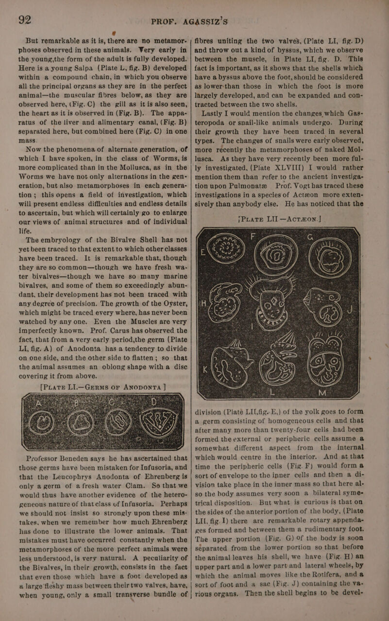 phoses observed in these animals. Wery early in the young,the form of the adult is fully developed. Here is a young Salpa (Plate L, fig. B) developed within a compound chain, in which you observe all the principal organs as they are in the perfect animal—the muscular fibres below, as they are observed here, (Fig. C) the gill as it is also seen, the heart as it is observed in (Fig. B).. The appa- ratus of the liver and alimentary canal, (Fig. B) separated here, but combined here (Fig. C) in one mass. Now the phenomena of alternate generation, of which I have spoken, in the class of Worms, is more complicated than in the Mollusca, as in the Worms we have not only alternations in the gen- eration, but also metamorphoses in each genera- tion; this opens a field of investigation, which will present endless difficulties and endless details to ascertain, but which will certainly go to enlarge our views of animal structures and of individual life. The embryology of the Bivalve Shell has not yet been traced to that extent to which other classes have been traced. It is remarkable that, though they are so common—though we have fresh wa- ter bivalves—though we have so many marine bivalyes, and some of them so exceedingly abun- dant, their development has not been traced with any degree of precision. The growth of the Oyster, which might be traced every where, has never been watched by any one. Even the Muscles are very imperfectly known. Prof. Carus has observed the fact, that from a very early period,the germ (Plate LI, fig. A) of Anodonta has a tendency to divide on one side, and the other side to flatten; so that the animal assumes an oblong shape with a disc covering it from above. [PLate LI.—GEeRmMs OF ANODONTA |] Professor Beneden says he has ascertained that those germs have been mistaken for Infusoria, and that the Leucophrys Anodonta of Ehrenberg is only a germ of afresh water Clam. So that we would thus have another evidence of the hetero- geneous nature of thatclass of Infusoria. Perhaps we should not insist so strongly upon these mis- takes, when we remember how much Ehrenberg has done to illustrate the lower animals. That mistakes must have occurred constantly when the metamorphoses of the more perfect animals were less understood, is very natural. A peculiarity of the Bivalves, in their growth, consists in the fact that even those which have a foot developed as a large fleshy mass between their two valves, have, when young, only a small transverse bundle of fibres uniting the two valves, (Plate LI, fig. D) and throw out a kindof byssus, which we observe between the muscle, in Plate LI, fig. D. This fact is important, as it shows that the shells which have a byssus above the foot, should be considered as lower‘than those in which the foot is more largely developed, and can be expanded and con- tracted between the two shells. Lastly I would mention the changes which Gas- teropoda or snail-like animals undergo. During their growth they have been traced in several types. The changes of snails were early observed, more recently the metamorphoses of naked Mol- lusca. As they have very recently been more ful- ly investigated, (Plate XLVIII) I would rather mention them than refer to the ancient investiga- tion upon Pulmonate Prof. Vogt has traced these investigations in a species of Actzon more exten- sively than anybody else. He has noticed that the division (Plate LIL fig. E,) of the yolk goes to form a germ consisting of homogeneous cells and that after many more than twenty-four cells had been formed the external or peripheric cells assume a somewhat different aspect from the internal which would centre in the interior. And at that time the peripheric cells (Fig. F) would forma sort of envelope to the inner cells and then a di- vision take place in the inner mass so that here al- so the body assumes very soon a bilateral syme- trical disposition. But what is curious is that on the sides of the anterior portion of the body, (Plate LII, fig. 1) there are remarkable rotary appenda- ges formed and between them a rudimentary foot. The upper portion (Fig. G) Of the body is soon separated from the lower portion so that before the animal leaves his shell, we have (Fig. H) an upper part and a lower part. and lateral wheels, by which the animal moves like the Rotifera, and a sort of foot and a sac (Fig. J) containing the va- rious organs. Then the shell begins to be devel-
