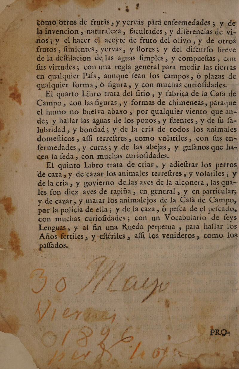 -— fOM NO Ottos 1 de frutás , y yervás pàrà enfermedades ; y de | a invencion , naturaleza, facultades , y diferencias de vi- È 053 y el hacer el aceyte de fruto del olivo, y de otros mos, fimientes, yervas, y flores; y del difcurfo breve Le la deftilacion de las aguas fimples , y compueltas , con Eds virtudes; con una regla general para medir las tierras en qualquier País, aunque fean los campos, Ó plazas de qualquier forma, Ò figura, y con muchas curiofidades. El quarto Libro trata del fitio, y fabrica de la Cafa de Campo , con las figuras , y formas de chimeneas, pàraque el humo no buelva abaxo , por qualquier viento que an- des y hallar las aguas de los pozos, y fuentes , y de fu fa- Mode y bondad; y de la cria de todos los animales domefticos, afli terreítres , como volatiles , con fus en- es fermedades , y curas; y de las abejas, y guíanos que ha- cen la feda, con muchas curiofidades. El quinto Libro trata de criar, y adieftrar los perros de caza, y de cazar los animales terreftres , y Volatiles; y de la cria, y govierno de las aves de la alconera , las qua- les fon diez aves de rapiña, en general, y en particular; - y de cazar, y matar los animalejos de la Cala de Campo, por la policia de ella, y de la caza, O peíca de el pelcado, con muchas curiofidadess con un Vocabulario de feys