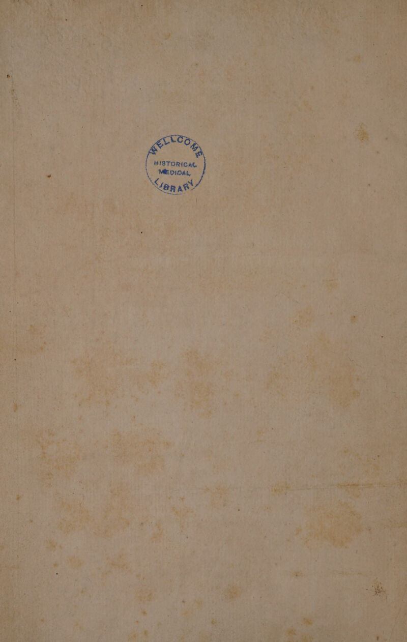 =a Re nas mall Sete S . a Re oak Rh. winoee