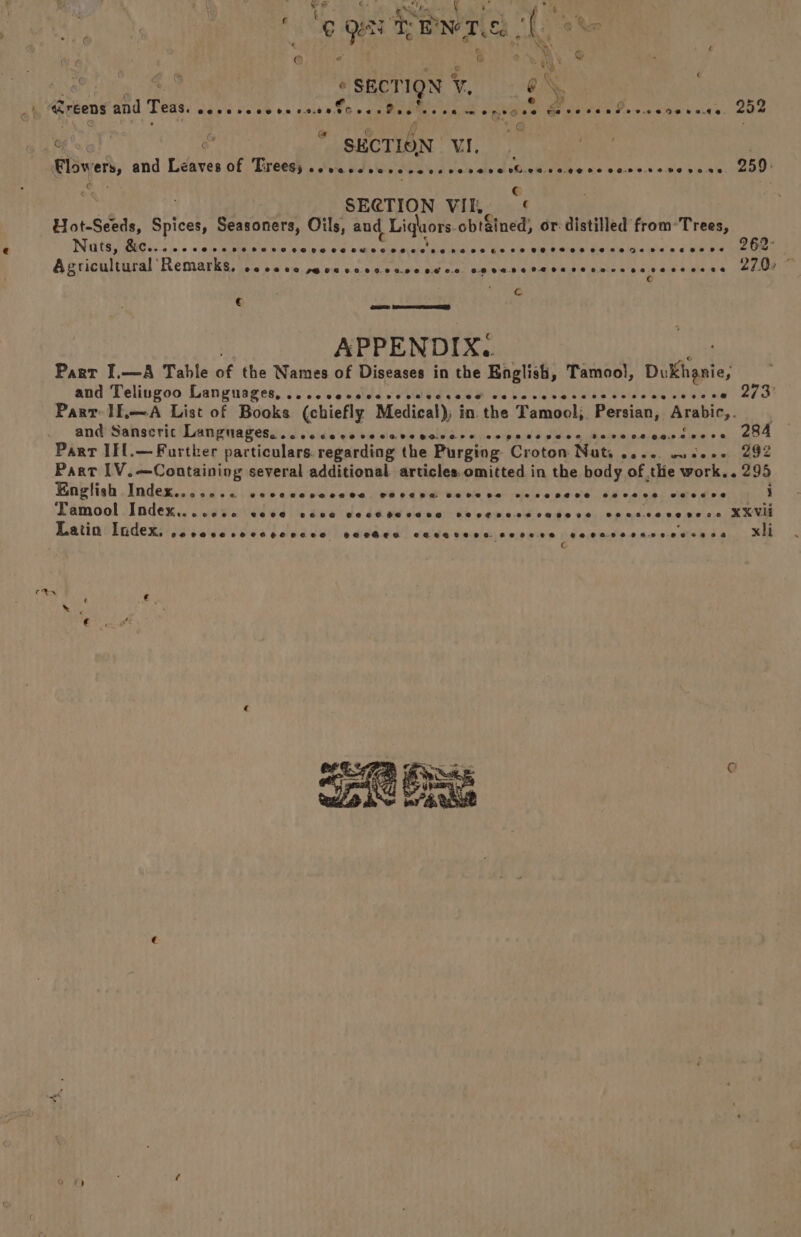 fine he. A [ . Bt tee é « SECTIQN ¥, 0X . Greens and Teas, eece A Peeteeee Eiger > Pd se.269Gto.€ 0. 252 5 eo °® ws * SECTION VI. , Flyers, and Leaves of Trees, se vascsercccccrevavethiew. 26.0 O06 OG-2 8.22 BE Bo Ve. 259: € SECTION VIK c LHot-Seeds, Spices, Seasoners, Oils, and | Liquors obt&amp;ined, or distilled from-Trees, Nuts, BRU ice o <a eta bis ESO hae Se eo veto re Ce OSes eere nse Deaeeerdes 262° Agricultural’ Remarks, CO FHOS HOC FCCLA DLO C.O CHLAHOPEHE TE LGED FEZ LASS OE EE 270: . c € 20) pow Sees APPENDIX. Part I.—A Table of the Names of Diseases in the English, Tamool, Du Kiipnie; and Teliugoo Languages, ....cereceseresccees Se PL CIE SNL Ge ae bie ka ae} Part IE.—A List of Books (chiefly Medical); in the Tamool, Persian, Arabic,. anditahserici anata gendcu sick pda ene belle pase rinpald Os quleimnsines sees mcgOk Part IEl.— Further particulars. regarding the Purging Croton Nats 2... wiseoe 292 Part [V.—Containing several additional. articles. omitted in the body of thie work.. 295 English Index. C2990 00 VESCFOCeLaee SHLERe SEEE KE &amp; eseoeee e@eee od @e@eeoe ee i Tamool Index... eoeceen €@0608 86806 COSC SHG SHCSH SPE SHLG2# THESE asiel idl cths die tater XXVH — COPBEO CUseresa seoocece of watnkae 0.nsée.0/ nae am xli Sake OR ae
