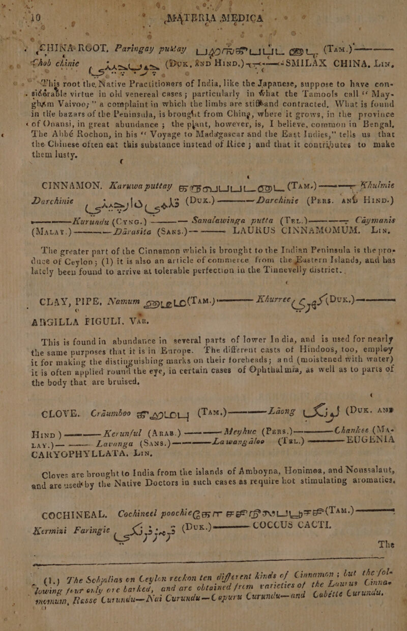 se i ee y dee iS HP oa ae ; 10 Be ait en 3 ALARA SIEDICE > ©. © | Pv: oP Pag é en? @- dhs dine cog OP tS Ren) SSNEER CHIN, Lm fod chante ° ( gm (DUK, AND HIND, ) pete OS] Ad \. Lix, « sidérable virtue in old venereal cases; particularly in What the Tamools call ‘* May- - gham Vaivoo;” a complaint in which the limbs are stif®and contracted, What is found in the bazars of the Peninsula, is brought from Ching, where it grows, in the province cof Onansi, in great abundance ; the plant, however, is, I believe, common in Bengal, The Abbé Rochon, in his ** Voyage to Madagascar and the East Indies, tells us that the Chinese often eat this substance instead of Rice ; and that it contributes to make them lusty. ‘ ne 3 CINNAMON, Karuwa puttay gygqIt_j~t_ coi. (TA™-) —— ae Khulmie Durchinie Korat ld 013 (Dux.) — Darchinie (Pers. an&amp; Hinp.) Kurundu (CynG.) . —— Darasita (Saxs.)-~ — Sanalawinga putta (Ter.)—————- Caymanis LAURUS CINNAMOMUM. Livy, rea (Mavay.) The greater part of the Cinnamon which is brought to the Indian Peninsula is the pros duce of Ceylon; (1) it is also an article of commerce from fad hee Islands, and bas latcly been found to arrive at tolerable perfection in the Tinnevelly district. . © Khurree (Sy Q S$ ( DUK.) CLAY, PIPE, Namum om eto(Tam.) Cc ANGILLA FIGULI, Var. This is foundin abundance in several parts of lower India, and is used for nearly the same purposes that itis in Europe. Phe different casts of Hindoos, too, employ it for making the distinguishing marks on their foreheads; a nd (moistened with water) it is often applied round the eye, in certain cases of Ophthal mia, as well as to parts of the body that are bruised, { CLOVE. Craumboo EP WLOLY (Tam, )———mem Laong | Ki4S (Dux. ane Chankee (Mas EUGENIA Winn ) ——_— Kerunful (Anras.) —~ —— Meyhuc (Pers.)— Lay.)— ———— Lavanga (SaNs.)————La wang aloo (Tax.) CARYOPHYLLATA., Lin, Cloves are brought to India from the islands of Amboyna, Honimea, and Noussalaut, and are used by the Native Doctors in such cases as require hot stimulating aromatics. COCHINEAL. Cochineel poochie? arr Fe Pn peee(Tau.) seo cee DUE. COCCUS CACTI. G he ee) ( ) Csr) | ii The TA PRM Ra TaN SE SPOR S50 LS Bd ER creme SP DEPT A 1.) The Schjalias on Ceylon reckon ten different kinds of Cinnamon ; but the fol ¢ (T.) ek <hiat ‘arieties of the Laurus Cinna dowing four enly are barked, and are obtained frcm ta : 1 Seabeetaeur unites  momum, Resse Curundu— Nai Curundu— Capurs Curnniue—ang Gave ® .€) M Kermizi Faringie € ¥