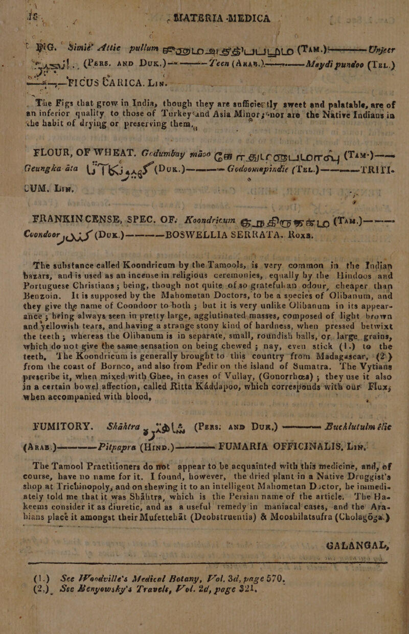 : , ’ t Ke. “$4 imié” A ttie oui EITOLO 2 SSI IUILALO (Tas. Jir———— Unjeer Sow Asa slo (Bsns. ann Dox, meme &amp; cen (ARAB, le May pundoo (Izt.) 4 i. \ det Ss Re —A——FICUS CARICA: Lines “The Figs that grow in India, though they are sufficiectly sweet and palatable; are of an inferior quality, to those of Turkey‘and Asia Minor ;“nor ate “the Native Indians in the habit of drying or preserving them, - FLOUR, OF WHEAT. Gcdumtay mao Ey TALC OBLILOM AY (Tam: Yt Geungka-ata iT ( Ti gagh Dex. 1) em 6 aaa (TeL.)——a_am TRITI. CUM, Lire, - e., ’ 3 - P . g FRANKINCENSE, SPEC, OF: Koondricum ey pp Duy wee io (Tn) ——— Coondoor »,¥ (Dox.)————BOSWELLIA SERRATA. Roxa, The substance called Koondricum by. the. Tamools,. is very common in the Yodian bazars, andis used as an incensein religious ceremonies, equally by the Hindoos and Portuguese Christians ; being, though not quite .ofso grateful.an odour, cheaper than — Benzoin. Itis supposed by the Mabometan Doctors, to be a soecies of ‘Olibanum, and they give the name of Coondoor to-both ; but it is very unlike Olibanuns in its appear ance’; being always-seen in pretty large, agglutinated. masses, composed of Jight brown and Fellowish tears, and having a strange stony kind of hardness, when pressed betwixt the teeth; whereas the Olibanum is in separate, small, rotindish balls, or. large, grains, which do not give the same-sensation on being chewed ; nay, even stick (1.) te the teeth, ‘Ihe Koondricum is generally brought to this country from Madagascar, (2)) from the coast of Bornco, and also from Pedir on the island of Sumatra. The Vytiang prescribe it, when mixed: with Ghee, in cases of Vullay, (Gonorrhea) ; they use it also jn a certain bowel affection, called Ritta KAddapoo, which corresjonds' with oir Riox; when accompanied with blood, s ne Aiautes élie FUMITORY. Shaktra 5 dln (Pers; anp Dux.) (Aras.)———— Pitpapra (Hinp.)————| FUMARIA OFFICINALIS, Lin,’ The Tamool Practitioners do Wot appear to be acquainted with this medicine, and, of course, have no name for it. I found, however, the dried plant:in a Native Druggist’s shop at Trichinopoly; and on shewing it to an intelligent Mahometan Doctor, he immedi- ately told me that it was Shahtra, which is the Persian name of the article, The Has keems consider it as ciuretic, and as a useful remedy in maniacal’cases, and the’ Ara- bians place it amongst their Mufettehat (Deobstruentia) &amp; Moosbilatsufra (Cholagoga.) GALANGAL,