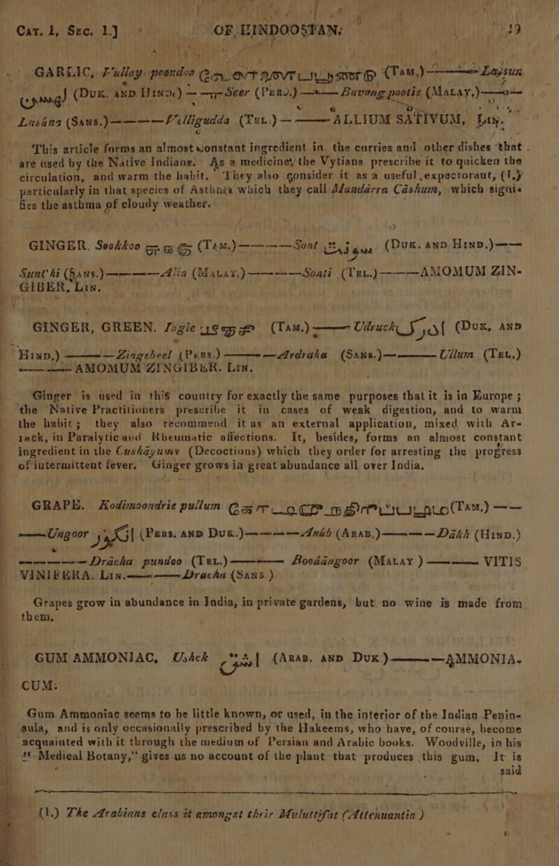 4 x ‘ =] : 4 » , f pts a, ¢ -| ». 2 ; > § . Cue, 2 See 1 eh. OF, EINDOOSTAN: | ea ie Peg. ; | pas) ey scr hy 4 , Bs F , GARLIC, £7 allay peondoo Cole rasvre sysop (Tau)-2 mec Ls $t07s v4 . copang! (Dux. AND Utnd0) “a Seer (Peay. a aati faear ere 9 Lusgna (Sans. ee. 7, elligudda (TeL,) ~———-— ALLIUM SA TIVUM, bay. oo This article forms an almost wonstant ingredient in the curries and other Tes: uhat 5 are used by the Native Indians. As a medicine’ the Vytians prescribe it to quicken the circulation, and warm the habit. ‘Phey also gonsider it as a useful ,expactorant, (1,) pacticularly in that species of Astinj which they call Adandarra Cashum, which signia fies the asthma of cloudy weather. , : ) GINGER, Seskhoo oe es EG (Tam.)—-———Sont Bai gus (Dug. ano Hinp.)—— Sunt’ hi (Sans. )———— ia (Matay.)——-——Soati (Ten.)-—-——AMOMUM ZIN- GIBER, Lin. Mt GINGER, GREEN. Jngie ueqyg (Tam.) —— Utruch Fol (Dox, asp . Lin) — Zing ebeel (ee RS. SW Ga i Cents )—-———- Cala (Tet,) — Ginger is used in thi country for Hiciis the same purposes that it is in Europe ; the Native Practitioners prescribe it in cases of weak digestion, and to warm the habit; they also recommend it as an external application, mixed with Are yack, in Paralytic and Kbeumatic affections. It, besides, forms an almost constant ingredient in the Cushgyums (Decoctions) which they order for arresting the progress of intermittent fever. Ginger grows ia great abundance all over India. GRAPE. Kodimoondrie pullum Ga ilo CP pre eae (Ta.) —— ——Ungoor yl (Pers, anD Duk.) ——~—— rib (ARAB, )——— — Dak h (Hinp.) ete eee — Dracha pundoo (Te..)——-—— Moodangoor (Matay ) —-—— VITIS VINIFERA. Lin. —————Dracha (Sans.) Grapes grow in abundance in India, in private gardens, but no wine is made from. them, _ GUM AMMONIAC, Ustck cpl (Anas, anv Dux.)———-—3MMONIA. : CUM. ; Gum Ammoniac seems to he little known, or used, in the interior of the Indian Penin- gula, and is only occasionally prescribed by the Hakeems, who have, of course, become acquainted with it through the medium of Persian and Arabic books. Woodville, in his 46 Medieal Botany,” gives us no account of the plant that produces this gum, It is ‘ | said — 2 A.) The Arabians class it amongst their Muluttifat (Attenuantia ) arta es a