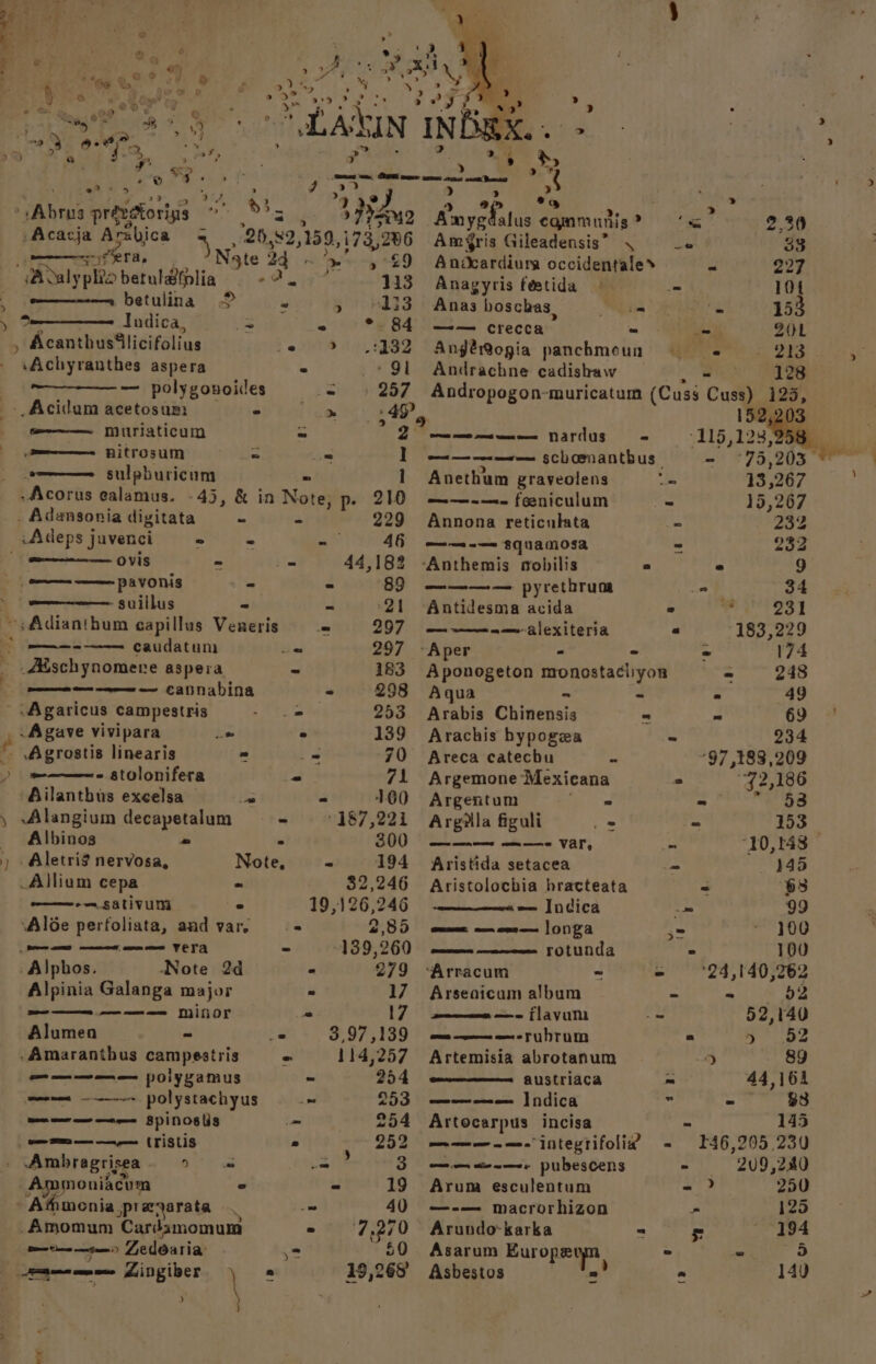 2, £ ‘ ~, @ oe .¥ A ° “Be Bs iS ® yg -&amp; e A; 1” rm r ae eo” oS v © <2.  < ai, is | 2 > Aoae ; ea oy »e O92 2 mates prevotoris % 2 ) PrAmMo Acacja Arabica an 720,82, 159, 173, IDG o¢era, Ale 2d. > 29 i “Adaly phe a hetalig oa = 113 wee betulina > ~ 5 HES oO Indica, is ne °. 84 , Acanthuslicifolius -e 9 4432 ’ Achyranthes aspera “ coe : — polygonoides LS 257 Acidam acetosum - ier 49 muriaticum ~ oe} 2 nitrosum = = ] . sulphuricum 1 -Acorus ealamus. -45, &amp; in Note p- 210 . Adansonia digitata ~ 229 -Adeps juvenci * - - 46 ovis ~ - 44,182 ———— pavonis _ - 89 : - suillus - - 21 ~~; Adianthum capillus Veneris = 297 ee caudatum iia 297 _ _Adschynomere aspera ~ 183 eee cannabina ~ 298 Agaricus campestris + TES et 253 _. Agave vivipara - » 139 f. Agrostis linearis = _- 70 ) - stolonifera = 71 Ailantbus excelsa — Ue - 1.00 ) «Alangium decapetalum ~ 187,221 Albinos = 300 Aletri? nervosa, Note, - 194 Allium cepa * 32,246 -— sativum e 19,126,246 Aloe perfoliata, and var, o 2,85 ws et oe VED - 139,260 _Alphos. Note 2d > 279 Alpinia Galanga major - 17 _ ———= minor = 17 Alumen - pas ROP ISS .Amarantbus campestris - 114,257 ————— polygamus ~ 254 moon ~~~ polystachyus s 253 a es spinostis : 254 wea (TIStis * 252 Ambragrisea 5 oe am 3 moniacum ° ° 19 Ms arate , ~ 40 _Amomum Cardamomum 7,270 Sa ene Zedearia: ,2 50 19,268 we Ss s) ‘Pay thus cammunis? ‘a 2,30 Amfris Gileadensis” \ = 33 Andcardiura occidentale* - 227 Anagyris feetida » = 104 Anas boschas, eee _ 153 —— crecca ~ = ZOL Angéogia panchmoun = ~—s 213 Andrachne cadishaw - 128 calorie Say Sas muricatum (Cuss Cuss) 123, 152,203 cememewee= nardus = -115,123,258 — ot ere sch conantbus - °75,203 atl Anethum graveolens 5 13 ,267 ——-—- feeniculum ~ 15,267 Annona reticukta _ 232 ———-—= squamosa = 232 ‘Anthemis sobilis ° ° 9 ——— — pyrethrum Ne 34 Antidesma acida 2 me yriost oe en nm lexiteria s “183,229 -Aper - ~ - 174 Aponogeton monostachyor - 248 Aqua = - > 49 Arabis Chinensis < ~ 69 Arachis bypogea ~ 234 Areca catecbu i oy. 183, 209 Argemone ‘Mexicana ° : 72.186 Argentum . a Meme 58 Arg@ila figuli _ “ 153 —— a = Val, a 10,148 Aristida setacea 345 Aristolochia bracteata = ‘65 — Indica = 99 Kee eo ee longa = 100 —— rotunda - 100 ‘Arracum ~ o 24,140,262 Arseaicum album - ae OS —- flavum = 52,140 owe ee om FULT UM a > 52 Artemisia abrotanum D) 89 austriaca = 44,164 wee eme Indica ~ = 33 Artocarpus incisa 145 ama integrifoliz = M6, 205 230 — eee pubescens oo 209, 280 Arum esculentum ->? 250 —-— macrorhizon - 125 Arundo-karka - 5 194 Asarum Europa  . 3 Asbestos «’ a 14)