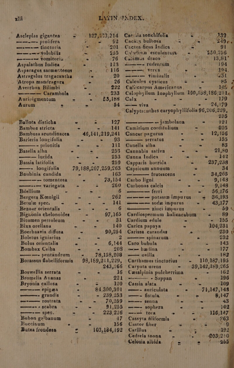 sli . : Gi ,' ee « Asclepias gigantea ss “197,823, 214 ——-—- prolifera. ie $2 oe oe eee a0 mee tinctoria oan ( “201 meee oar Volubilis gre ne | GOD ee o—see YOMitoriu ‘ e &amp; 6F6 Aspalathus Indica , * 2 ¢ 113 Asparagus sarmentosus sw si («dNG Astragalus tragacautha Cw 20 . Atropa mandragora « 26 Averrboa Bilimbi ° 222 eee Carambola e . © ©. 233 Auripigmentam < - §3,188 Auum =: airs 84 2 a ; bid “Ballota disticha &amp; a 327 Bambos stricta: » ~° 141 Bambusa arundinacea 46,141,219,241 Barleria longifolia = . 93 - prionitis ° = 111 Basella alha e 2 253 wom —— lucida - « 253 Bassia latifolia : 259 -——- longifolia 79, 188, 207,259,263 Bauhinia candida - - 163 ——— == LOMENntOsa 73,154 pommn nem Variegata » « 260 Bdellium ~ = 6 Bergera Keenigii - - 262 Betule spec. - - - - 141 Bezoar orientalis - « - 6 Biguonia chelonoides = = 97,165 Bitumen petroleum ~ « «c }8l . Bixa orellana na ° 140 Boerhaavia diffusa ~ 90,254 Boletus igniarius = = 2 Bolus orientalis = - 6,144 Bombax Ceiba - : 208 ———- pentandrum - 78,158,208 Borassus flabelliformis 98, 169,211,229, 243,266 Boswellia serrata = « 16 Bromelia Ananas © 221 Bryonia callosa ns S 120 oom Epio wa . 84,300,301 we STandis - - 239,253 one = rostrata - = 70,259 memmeex a sCabra « - - 91,255 wee SNES, ~ - 223,226 Bubon gelbanum « 17 Buccinum » ~ 156 Butea frondesa 103,184,192 ANDEX.. a sorichifolia foe &amp; ee Cac&amp;éia bulbosa cam “Me Cectus ficus Indica . my Cala ign esculentum: — =. Caiamus draco of 5 ‘a wig we Tudentum, i aS -——— ‘vers é&amp; 2 oa ——-— vimivalis | . Calculms cysticus ~ ~ = Caliicarpus Americanus , - 1 Calopbyllum Inophyllum 100,158,186. 2hle | Calx ~ - = 179 —— viva - 24,179 “Calyptrcuthes earyopby sone 96, 206,229, 7 235 et anne o- jambolana « 121 Camirium cordifolium - 235 Cancer pagurus > ~ 12,156 serratus « &amp; 355 Canella alba - - “7°63 ‘Cannabis sativa = - 21,80 Canna Indica ° = 142 © Capparis borrida - 237,238 ‘Capsicum annuum * 34 ———— frutescens ” 34,265 Carbo ligni “ a 9,148 Carbonas calcis = “= 9,148 — ferri - = 56,176 — = potasse impurus = $6,193 =———— sod impurus ~ 43,177 zinci impurus - 59 < Cardiospermum halicacabum = « 89 Cardium edule - - 155 ¢ Carica papaya — - 104,231 Carissa carandag ent S280 ¢ ——— spinarum e 232 Caro bubula = > 143 mcm Haedina * - 177 —— ovilla . = 182 Cartbamus tinctorius - 110,187,195 Caryota urens - 39,142,189,265 Cesalpinia pulcherrima oe 162 wre -Sappan . 196 Cassia alata - fe 109 ame = auriculata * 71,147,143. ——- fistula - = $8,147 o——- senna {= Saini 43 ——- sophera ° ° }02 —-— tora oe CC: a -9)161479 Cassyta filiformis 650 RES Castor fiber pe, RRND te th ie Catillus = qs Cedrela toona - ee © Celosia albida f = > Bi: