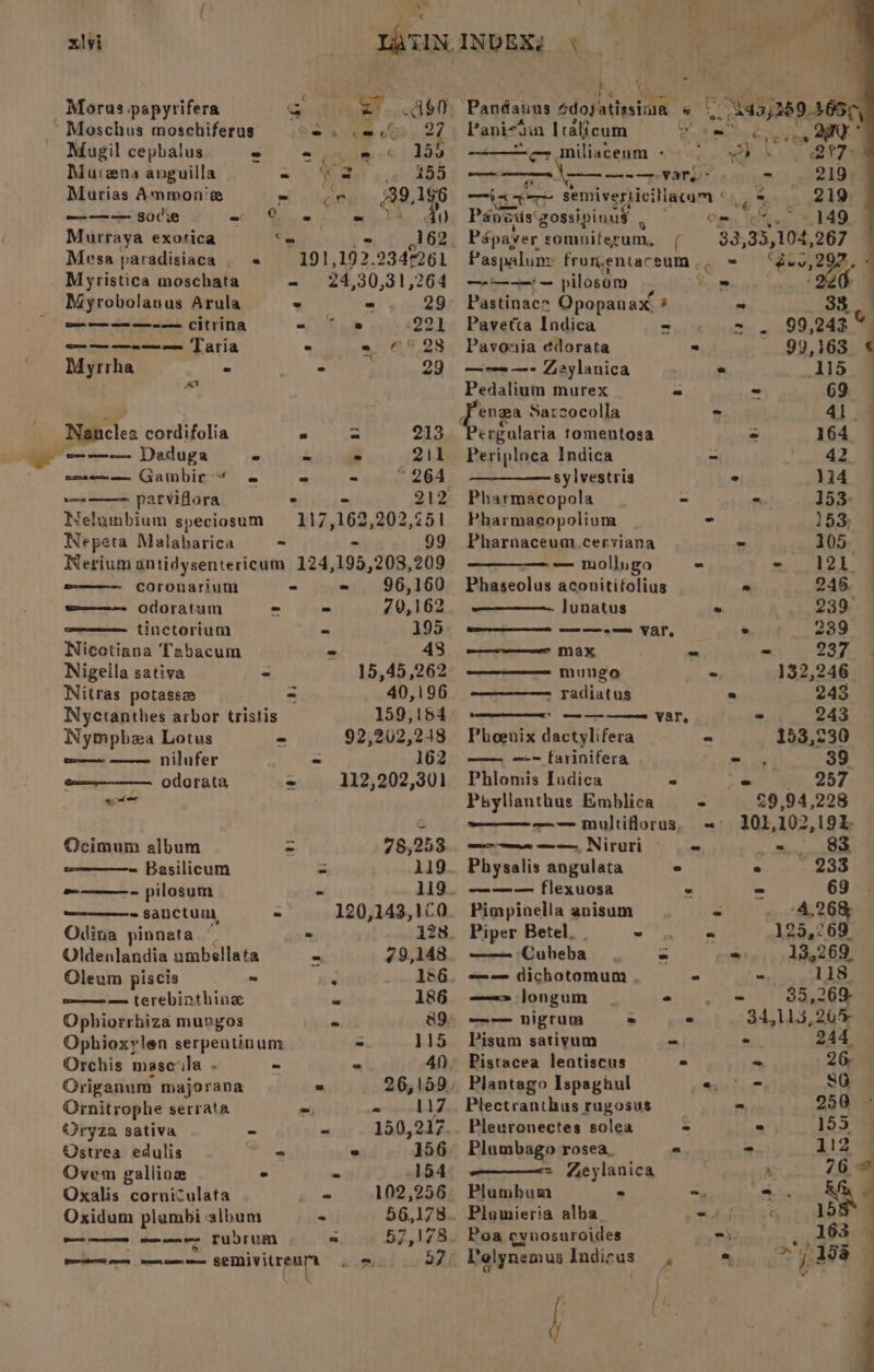4 ; rc % Morus papyrifera Geist er .4$0 Pandains edosatissina ete (84952892056) ~ Moschus moschiferus = © 5 © «we 27 Pani“ain Iralicum Suit Rahs Oi Mugil cephalus - 264 155 ot miliaceum © 05 Shs 297: Murena anguilla - ¥: 3 Pern es) it Si a a ne —revary: apn 219%. Murias Ammonie - on A9Y1G6 —i< sat semiverticillacam 5 S94 *~ 219 m—— sole aw 8 em Av Pauadis'gossipinus ‘ Om. ot 149 Murraya exotica ce . 162. Pépaver somniferum, ( 33, 33, 104 267 | Mesa paradisiaca . « 191,192. 9347261 Paspalunr fromentaceum . ce * “es, 207, Myristica moschata = 24,30,31,264 ——-—- pilosom co is 7 Myrobolasus Arula * - 29 Pastinace Opopanax: * “ _ 38 23 oe ee ee Citrina = ° ® :221 Pavetta Indica = « 2 . 99,243 b ee een Taria = - ©° 28 Pavonia édorata = 99,363 € Myrrha - - 290 —--=—- Gaylanica . 15 i Pedalium murex ~ ~ 69 i enga Sarcocolla - 4\. Nanclea cordifolia - = 213 ‘Pergularia tomentosa - 164 eee Daduga - - « 211 Periploca Indica - 42 caeme Gambic~ « = = ~264 . sylvestris ° 114 toms parviflora ° - 212 Pharmacopola - 7 153, WNelumbium speciosum =117,162,202,251 Pharmagopolium a 153; Nepeta Malabarica ~ - 99 Pharnaceum,cerviana = 105. Nerium antidysentericum 124,195,203,209 — mollngo “ - 121 ma———— COronarium « - 96,160 Phaseolus aconitifolius = 245. we——— odoratum = - 70,162 Junatus » 239. wee tinctorium cha 195 ——e—= Var, © 239 Nicotiana Tabacum - 430 er Max - 237. 4 Nigella sativa - 15,45 ,262 mungo - 132, 246 Nitras potassz = 40,196 - radiatus = 243 Nyctanthes arbor tristis 159,164 7 ene var, - 243 Nympbea Lotus - 92,202,248 Phoenix dactylifera « 153,230 ones nilufer ~ 162 —— —- farinifera ee 39 Gee OOFAta = 112,202,301 Phlomis Ladica . er ei: 257. ener Phyllanthus Emblica - 29,94 ,228 C ea —— multiforus, « 101,102,192- Ocimum album - 97§,253.0 mee ——. Niruri ss oy vague ee - Basilicum = 119. Physalis angulata e e 233 -——- pilosum 119. ——— flexuosa > 69 ~ sanctum, jal 120,143,100 Pimpinella anisum = 4,26% Odina pinnata - 128. Piper Betel. Ire hy 125,269 Oldenlandia umbellata = 79,148. —— Cubeba_ = - 13,269, Oleum piscis ~ J 186. —--— dichotomum . * ae ‘118 ome terebinthing we 186 —<= Jjongum mils im 35,269 Ophiorrhiza mungos 39 o-— nigrum = ° 34,113,205 Ophioxylen serpentinum - 115 Pisum sativum - e 244, Orchis mascala - “ /! 40. Pistacea lentiscus a = 26, Origanum majorava ° 26,159, Plantago Ispaghul eof 8G Ornitrophe serrata -, - 117. Plectranthus rugosus = 250» Oryza sativa - ss 150,217. Pleuronectes solea ~ - 155 ®@strea edulis Air ° 156 Plumbago rosea, “ = 112 Ovem gallioe ° - 154, ————<= Zeylanica oof 1,0. % Oxalis corniculata is 102,256 Plumbam ~ ~.. ~ . € Oxidum plumbi album - 56,178. Plamieria alba pe SaAWhe ee 195° goad batpeeen (them ite pwnd) PUN F LAL « 57,178. Poa cynosuroides ou : 163 ‘ jaa ai \taprabeensetoe meray tr Aer pombe 57 Velynemus Indicus *. i; pare : ii f | {> #4 \ < ‘ ‘ ad mit