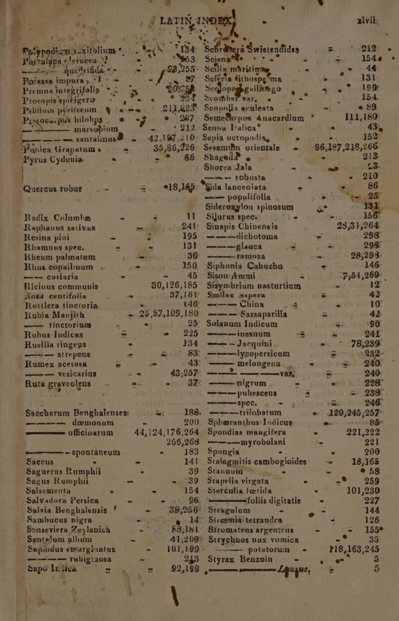 ce % oe Ya ca ea < %§   . i“) . t i (glamor. aii > 9 9 ra) 2”. “., ; 4 té %e, P) ‘3 ex! blinw*, et Se w F734 § ridega wietendides 52 912° 2S: baoee by : “853 Scien qf'9 8 &amp; = 1546 quetvifida. 2s @ 08,255: Scilla amr iti tye s ps - 44. Faisain impura 5 i “ f . Scléria tithospg*ma 7 I 131 Premna integrifolia te > QOH Seqop allamgo 4 6 199 Prosopis: ‘spibigera pers 234 Scothbervar, 6 | = 154. Psidium oe hilo Qere: ach K2F Seopolia aculeata - e 8&amp;9 whos abe (Oca. bilobps . @ = 207) Seme®rpus. Anacardium , 111,180 or astobinen ~ : 212. Senna Italica® 2 -* de oe ———— santalinus® = 42,197,210 Sepia octopodia, , °- 152 'Punica Grapatum e « 35,86,226 Sesamtfm orientale -. 96 187, eee “Pyrus davies ™ - * $6 Shayed® . . 213 Sborea Jala = ‘3: . —m«-=- robusta 6 - 219 ~ Quercus robur - = 18,165° “ida lanceoiata * e 86 a a populifolia . “Why 25° Sideroxylou spinosum &amp; hs Radix Columba “ z 11 Sijurus spec. ve Raphanas sativus posi '. 241 Sinapis Chinensis “93 53 b,264 Resina pivi = x 195) = —-—rdichotoma - 298° Rhamnus spec. 2 - 13) ———— glauca = ge 298 Rheum palmatum Sees 36 ramosa = 285293: Rhus copailinum . ~ 150. -Siphonia Cahuchu “ 146 w= Cotharia - ~ 45 Sison:Ammi = 751,269 | Ricinus communis $0,126,185 Sisymbrium nasturtium cee 12 Aosa centifolia - 37,361 Smilax aspera = 42 Rottlera tinctoria 146 ———— China a « 10: Kubia Manjith - 25, 87,109,180 ———-—— Sarsaparilla a 42 ~——— tinctorius * * 25° Solanum Indicum ey ‘90 Rubus Judicas = = 225 ———insanum = ° 241 Ruellia ringeps ° 134 nm —Jarquini.. a 78,239. re SITEPENS ” &amp; ° 83) ———lycopersicam = Q29 , Rumex acetosa ~ = 43’ ———melongena . * s 240 wee Vvesicarius = 43 257) ee ee a a 240 Ruta graveolens s a 3F nigrum - = 228° 48 — pubescens 3 =, 238. : ——— spec. - me 246. Saccharum Benghalenses: ms) 188, ———trilobatum e .120;245 ne —— eee =e MOnUM -s 200 Spheranthus:Ladicus oo officiuarum 44,124,176,264 Spondias mangifera . Suis . | 266,268 ——-—myrobolani » 221 ee nak ea ° 183 Spongia . ° 200 ~Saccus > 14! Stalagmitis cambogioides -= 918,168 Saguerus Regal * 39 Staonum - “ © 58 Sagus Rumphii = - 39 Stapelia virgata ~ -* 259 Salsamenta = - 154 Sterculia tetida * 101,230 Salvadora Persica ~ - . 96, ~————<=foliis digitatis « 227 Salvia Benghalensis ? - 88,266 Stragulum - Pa 144 Sambucus nigra ° @ 14° Streemia'tetrandra = 126 Senseviera Zeylanica = -&amp;3;151 Stromatens argenieus - = 155° Santelum album - 41,209 Strychuos nux vomica -° 33 ‘Sapindus emarginatus - 101,199. ~ potatorum P18,163,245 ———— rubigiaosa - 243 Styrax Benzoin - = Hi) tah od Int tia ieee bo 4 $2,199 ee pommrnmne Lguigus. 2 3 rs 1 6 s
