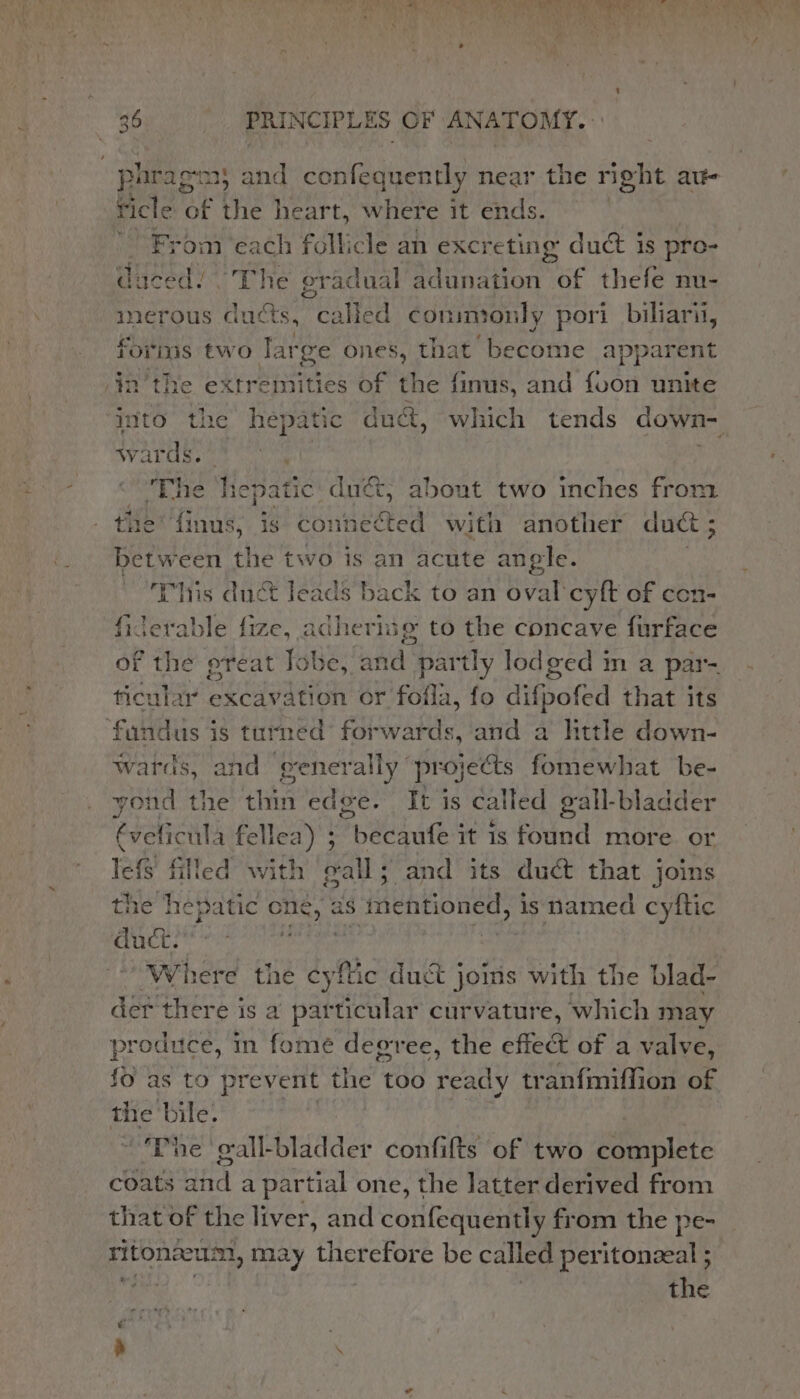 | phragm) and confequently near the right at- ticle of the heart, where it ends. ‘From ‘each follicle an excreting duct is pro- dace ae Ne gradual adunation of thefe nu- merous ducts, called con monly pori biliari, fornis two Tale ones, that ‘become apparent in'the extremities of the finus, and foon unite ito the hepatic duct, which tends down- wards The hepatic duc, about two inches from the finus, is connected with another duct ; Bit een the two is an acute angle. This duct leads back to an Bvat cyft of con- fiderable fize, adherisg to the concave furface of the preat Tobe, and partly lodged mm a par- ticular excavation or fofla, fo difpofed that its ‘fandus is turned forwards, and a little down- wards, and generally ’ projects fomewhat be- yond the ‘th edge. It is called gall-bladder €veficula fellea) ; : Phaeaute it is found more or Tee! 4 filled with eal ; and its duct that joins the hepatic one, : as 1 s inentioned, is named cyftic uct.” Where the cyftic duct joins with the blad- der there is a particular curvature, which may produce, in fome deeree, the effect of a valve, fo as to prevent the too ready tranfmiffion of set bile. he gall-bladder confifts of two Per apler eBare iffa a partial one, the latter derived from that of the liver, and confequently from the pe- ritonzeum, may therefore be called peritonzeal ; Yi a | the Ca