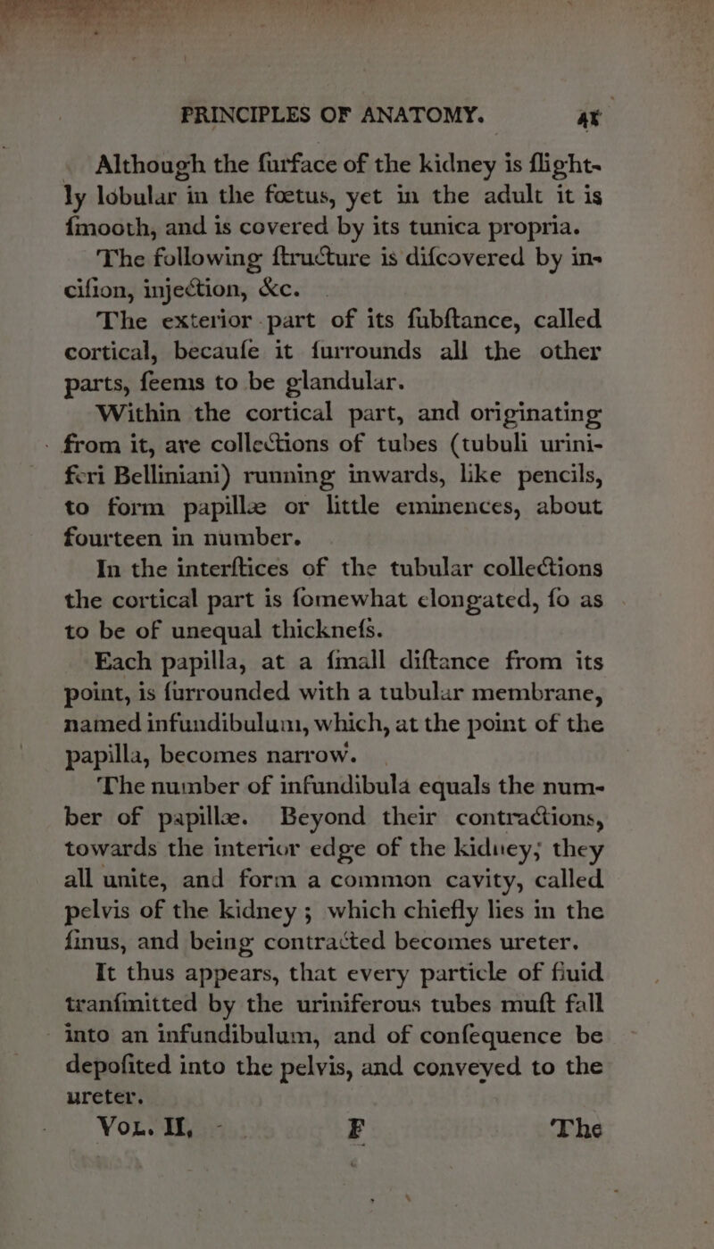 . Although the furface of the kidney is flight- ly lobular in the foetus, yet in the adult it is {mooth, and is covered by its tunica propria. The following ftructure is difcovered by in- cifion, injection, Kc. The exterior part of its fubftance, called cortical, becaufe it furrounds all the other parts, feems to be glandular. Within the cortical part, and originating - from it, ave collections of tubes (tubuli urini- feri Belliniani) running inwards, like pencils, to form papillz or little eminences, about fourteen in number. In the interftices of the tubular collections the cortical part is fomewhat elongated, fo as to be of unequal thicknefs. Each papilla, at a {mall diftance from its point, is furrounded with a tubular membrane, named infundibulum, which, at the point of the papilla, becomes narrow. The number of infundibula equals the num- ber of papillee. Beyond their contractions, towards the interior edge of the kidney; they all unite, and form a common cavity, called pelvis of the kidney ; which chiefly lies in the finus, and being: contracted becomes ureter. It thus appears, that every particle of fiuid tranfinitted by the uriniferous tubes muft fall into an infundibulum, and of confequence be depofited into the pelvis, and conveyed to the ureter. VoL. - F The