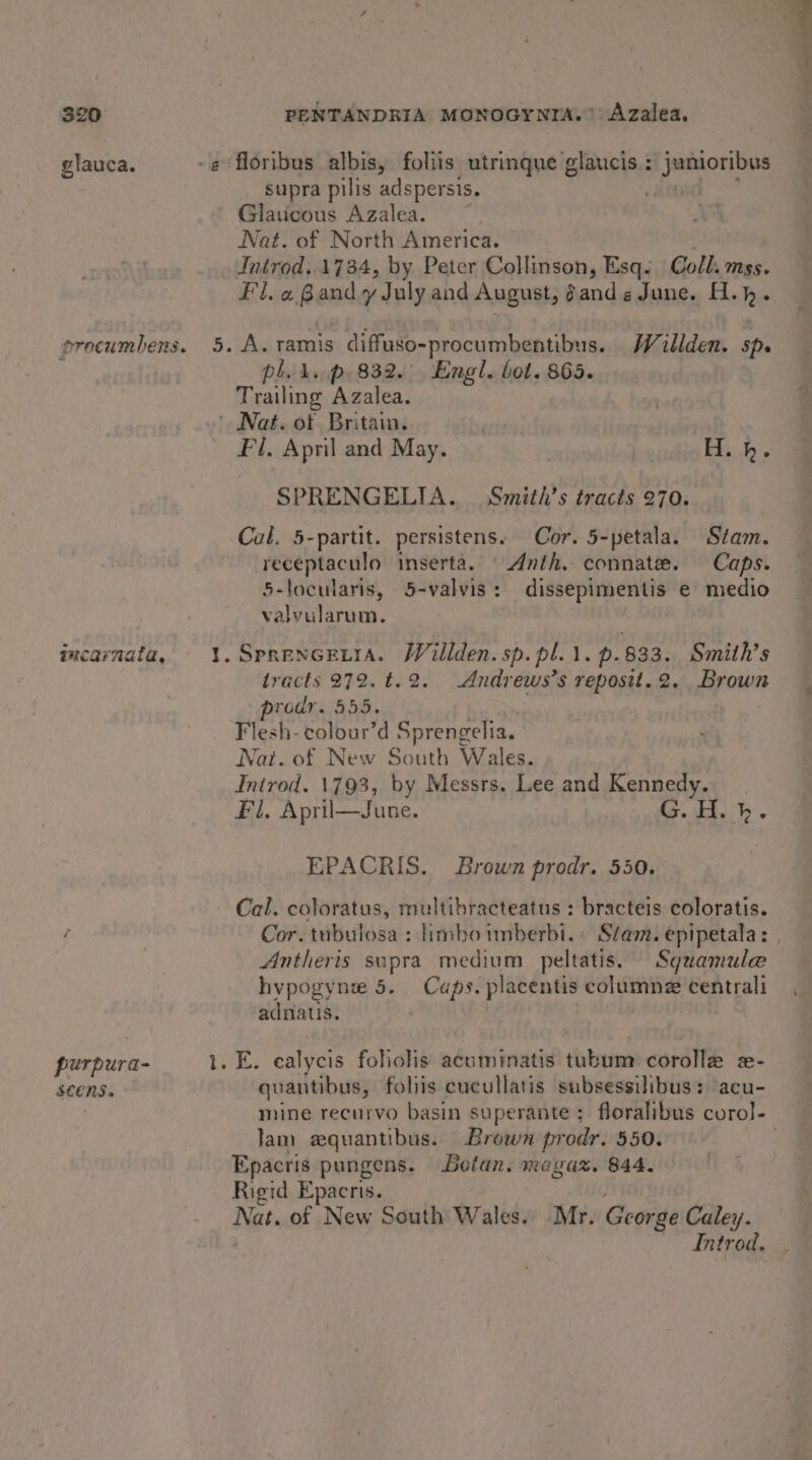glauca. procumbens. ancarnata, purpura- $CENS. -¢ floribus albis, foliis utrinque glaucis : janioribus supra pilis adspersis. Ned Glaticous Azalea. Nat. of North America. Introd. 1734, by Peter Collinson, Esq. Coll. mss. Fil. a Bandy July and August, dande June. H.h. 5. A. ramis diffuso-procumbentibus. Willden. sp. pl. i. p, 832. Engl. bot. 865. Trailing Azalea. | Nat. of Britain. Fil. April and May. H. h. SPRENGELIA. Smith’s tracts 270. Cal. 5-partit. persistens. Cor. 5-petala. Stam. receptaculo inserta. Anth. connate. Caps. 5-locularis, 5-valvis: dissepimentis e medio valvularum. 1. SprenGeLia. Willden.sp.pl.1. p.833. Smith’s tracts 272. t.2. Andrews’s reposit.2. Brown prodr. 555. Flesh-colour’d Sprengelia. Nat. of New South Wales. Introd. 1793, by Messrs. Lee and Kennedy. Fl. April—June. is.ibt.. b. EPACRIS. Brown prodr. 550. Cal. coloratus, multibracteatus : bracteis coloratis. Antheris supra medium peltatis. Squamule hvpogyne 5. Caps. placentis columne centrali adnatis. 1. E. ealycis foliolis acuminatis tubum corolle x- quantibus, foliis cucullatis subsessilibus: acu- lam aquantibus. Brown prodr. 550. Epacris pungens. Botan. magaz. 844. Rigid Epaeris. | Neh of New South Wales. Mr. George Caley. Introd.